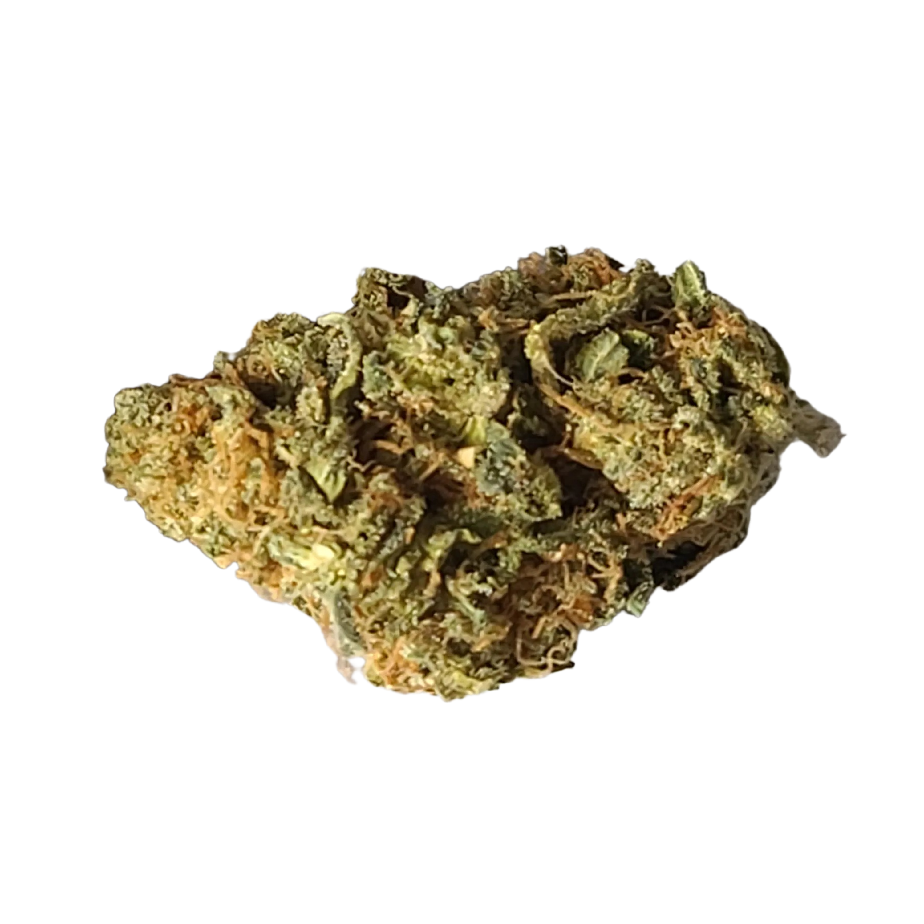 Image of enua 25/1 GTH