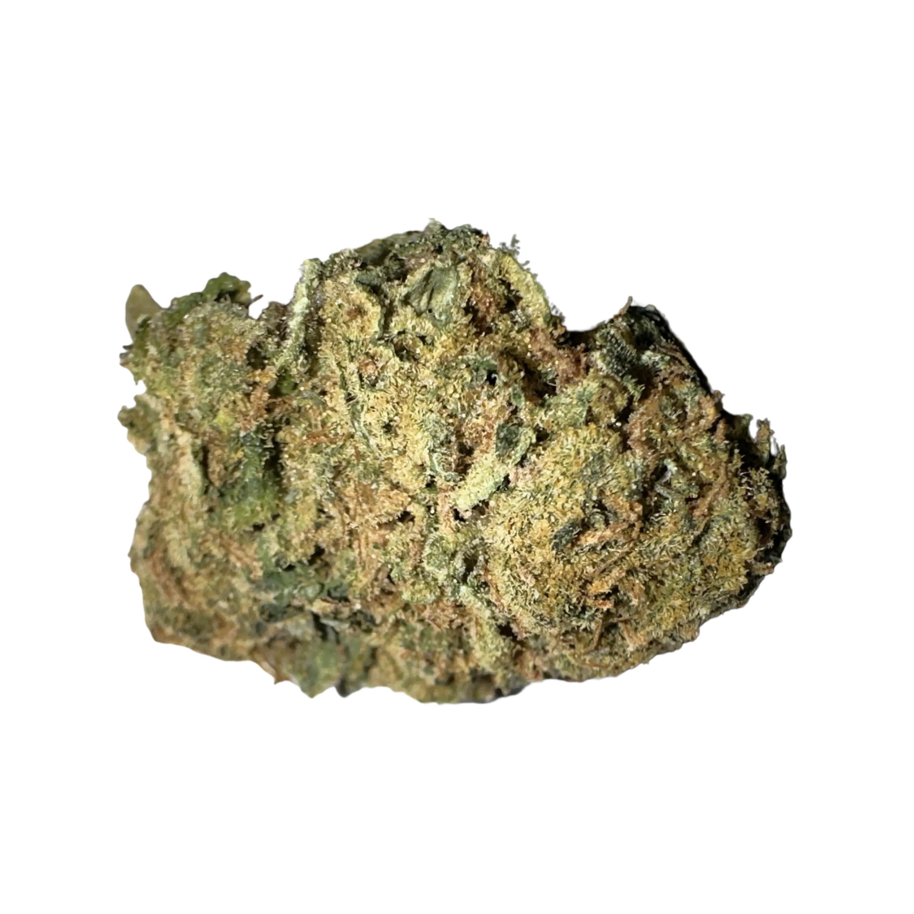 Image of IMC THC20 T01