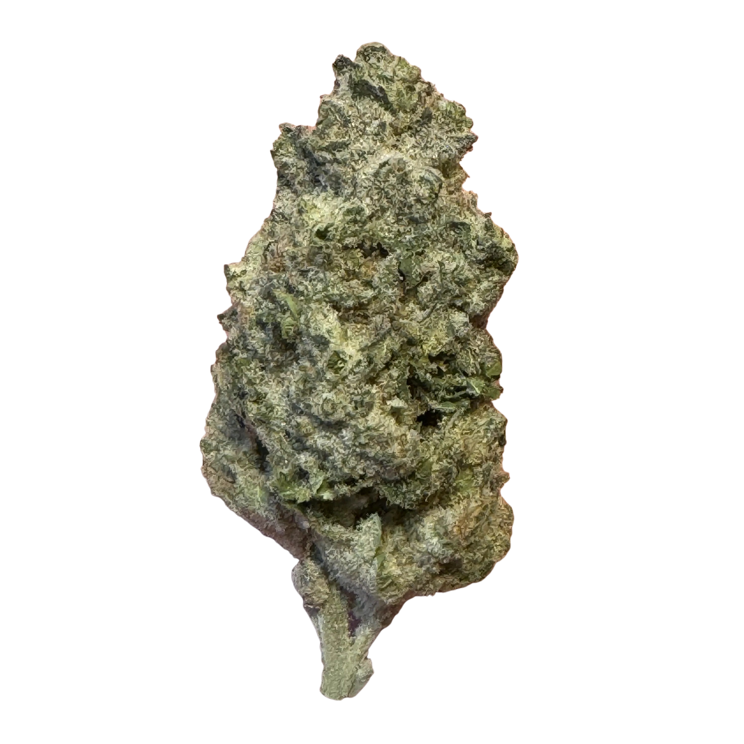 Image of enua 22/1 BCP CA