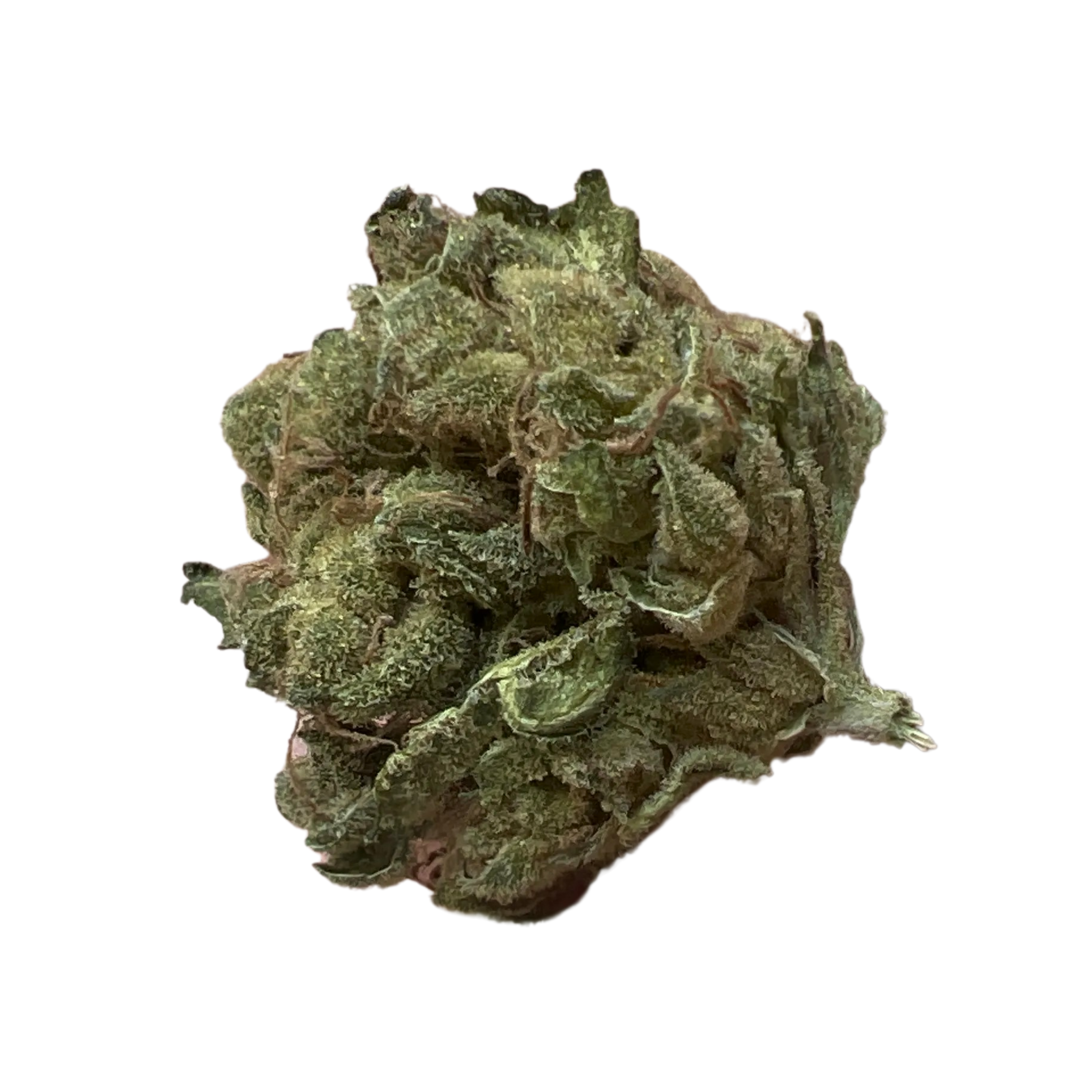 Image of TILRAY THC 18 Spotlight Porto SD