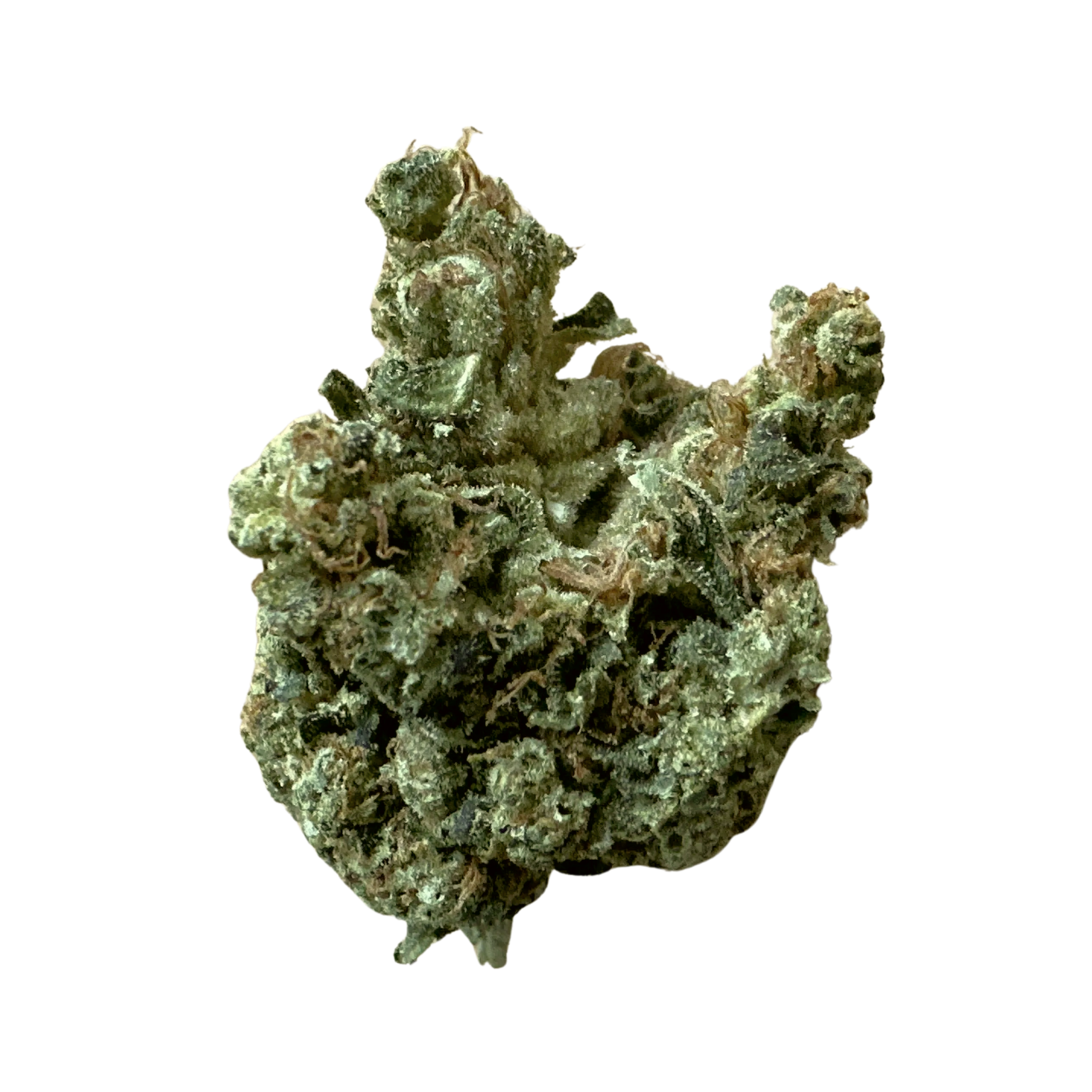 Image of CM 24/1 OG Kush