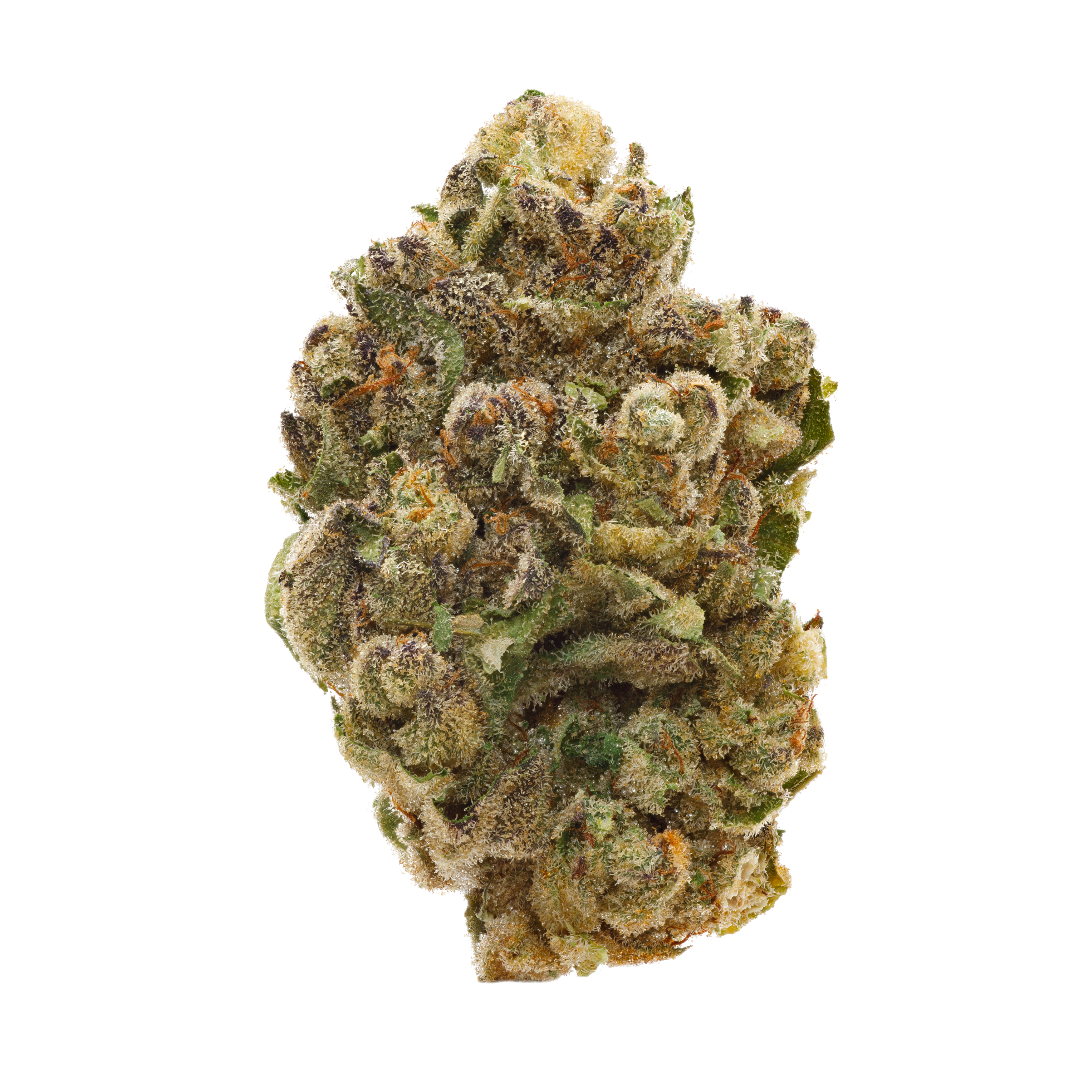 Image of Pedanios 27/1 FRG CA