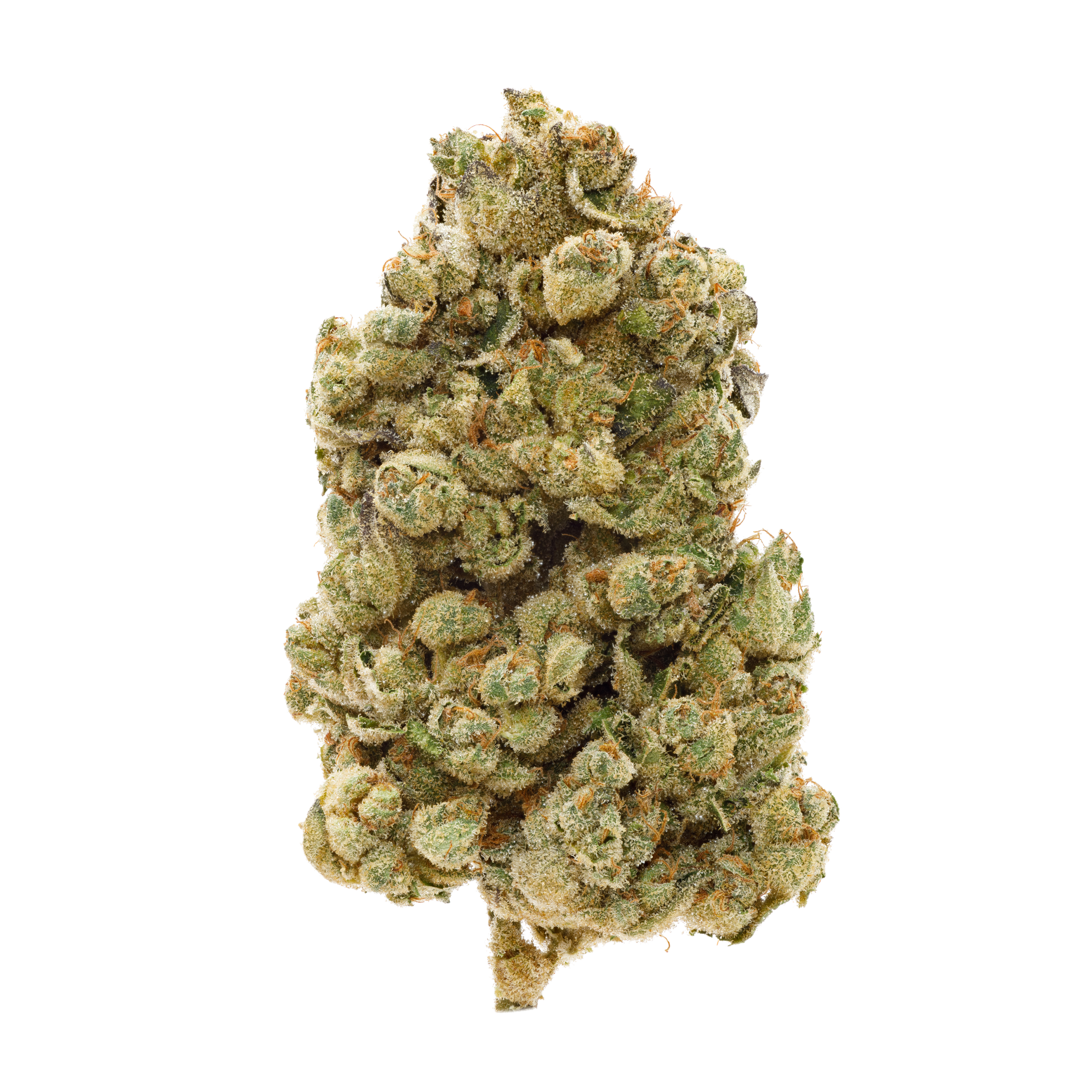 Image of Pedanios 29/1 SRD CA