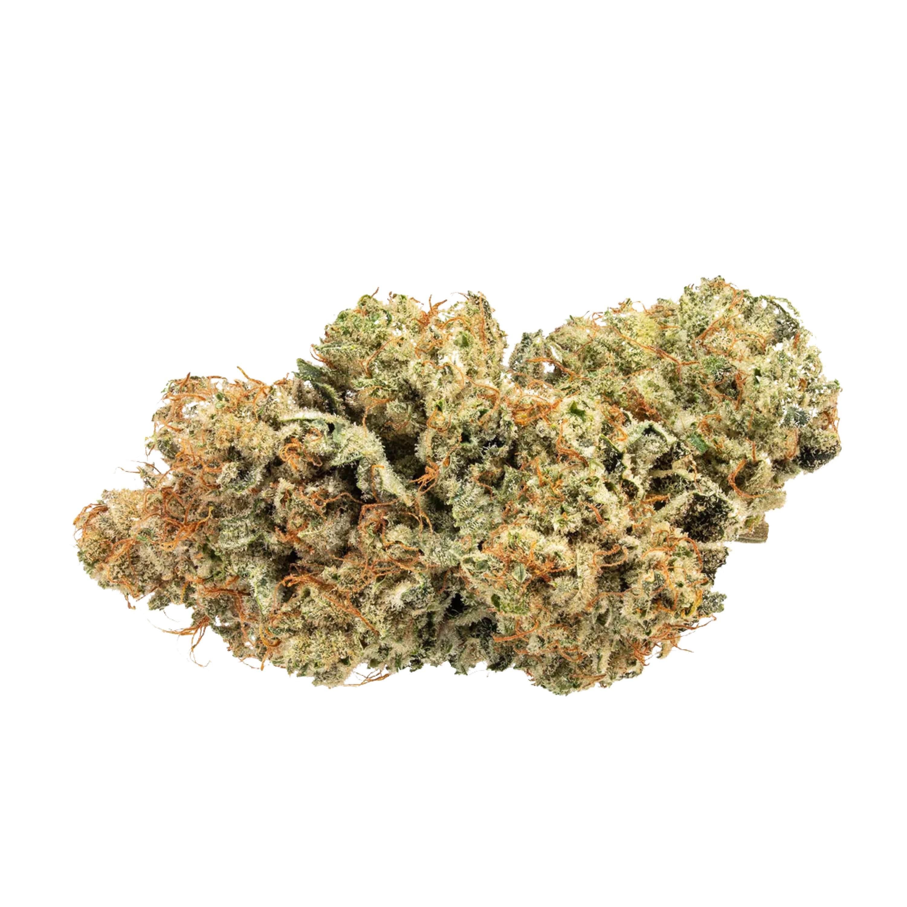 Image of avaay Signature 28/1 WB