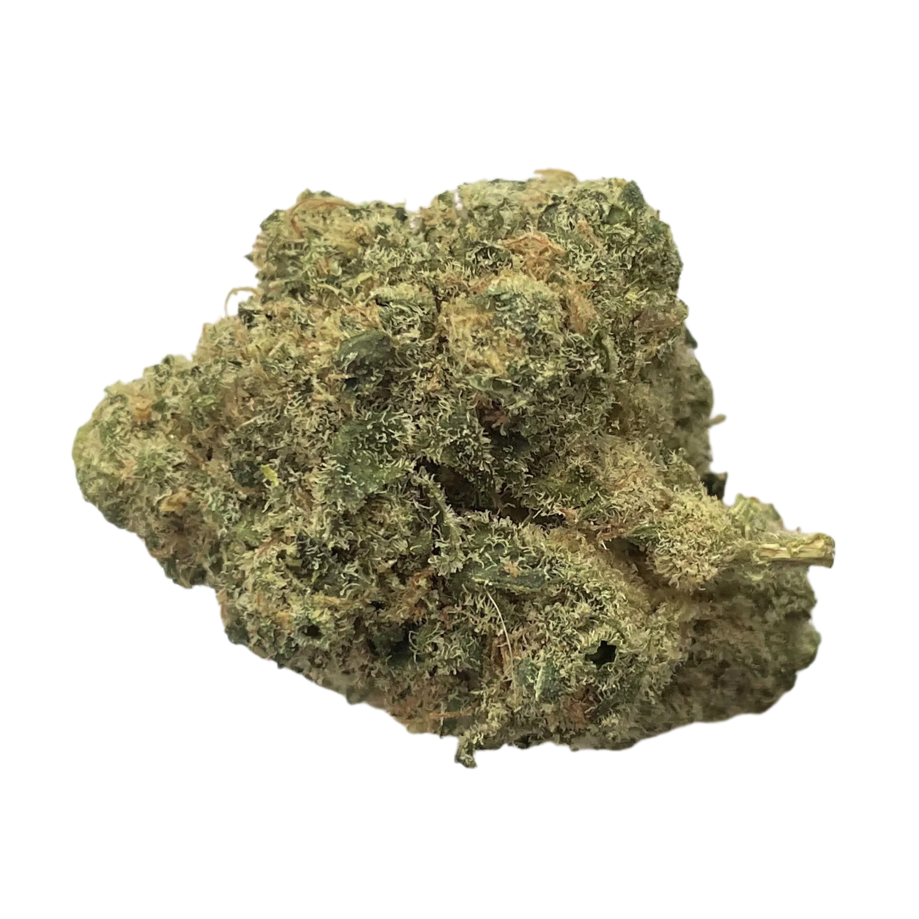 Image of avaay 24/1 BPM