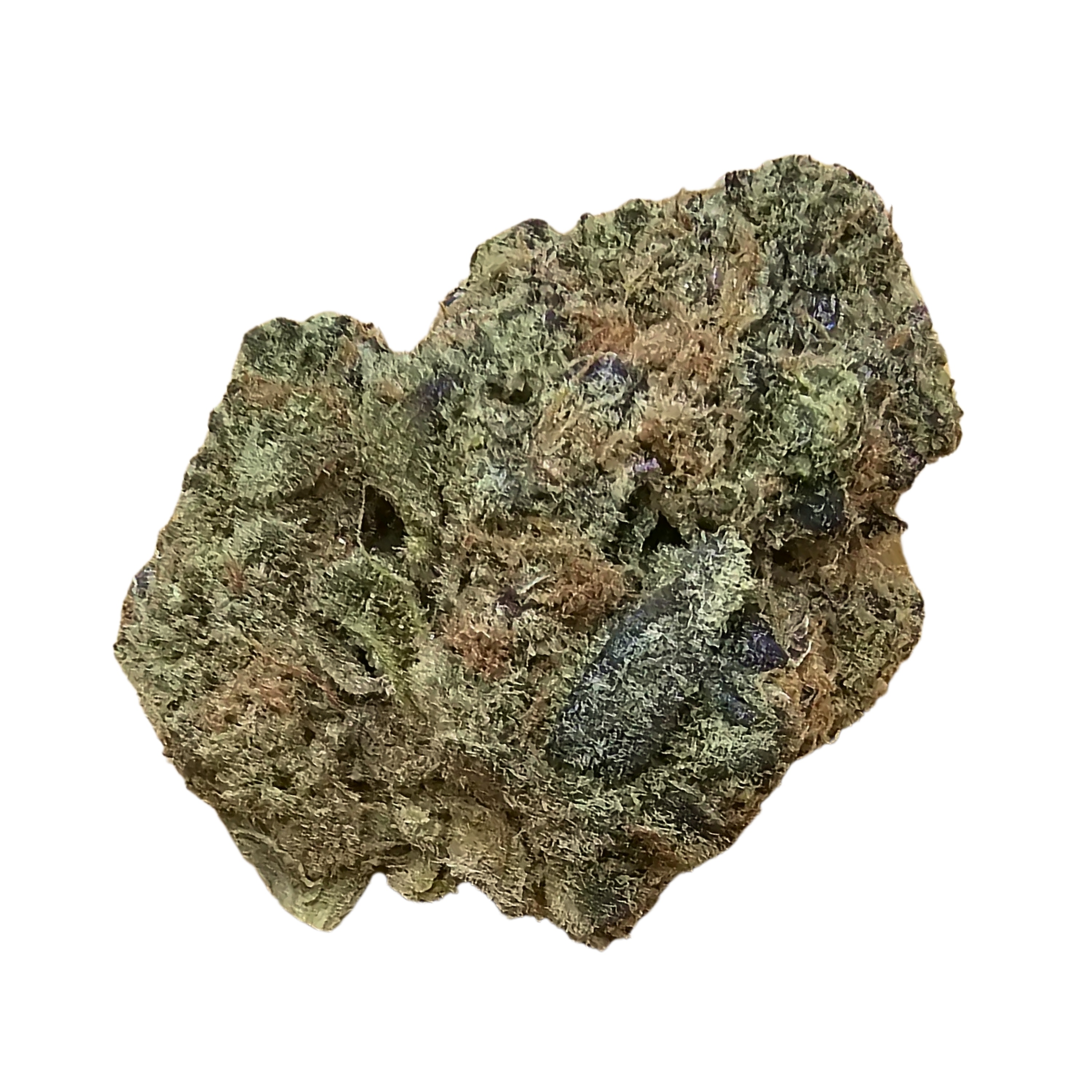 Image of Top Shelf Medical S1E2