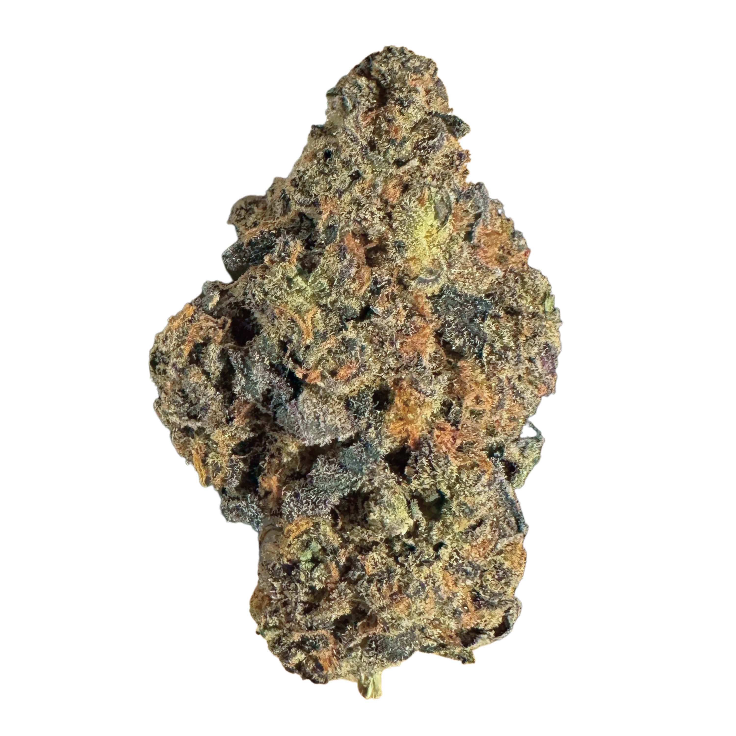 Image of Remexian 30/1 HCC GGL