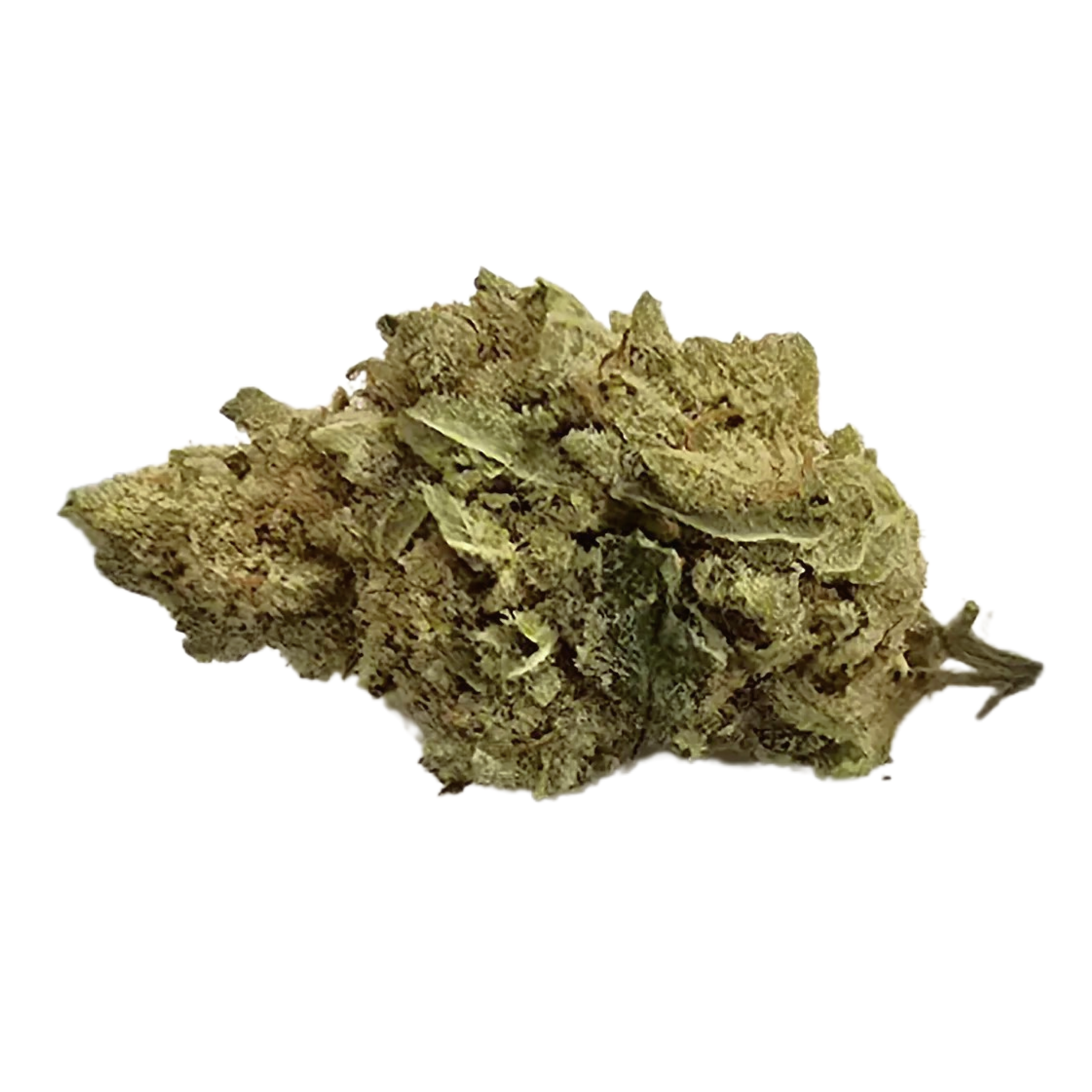 Image of HUALA 22/1 CA DOG