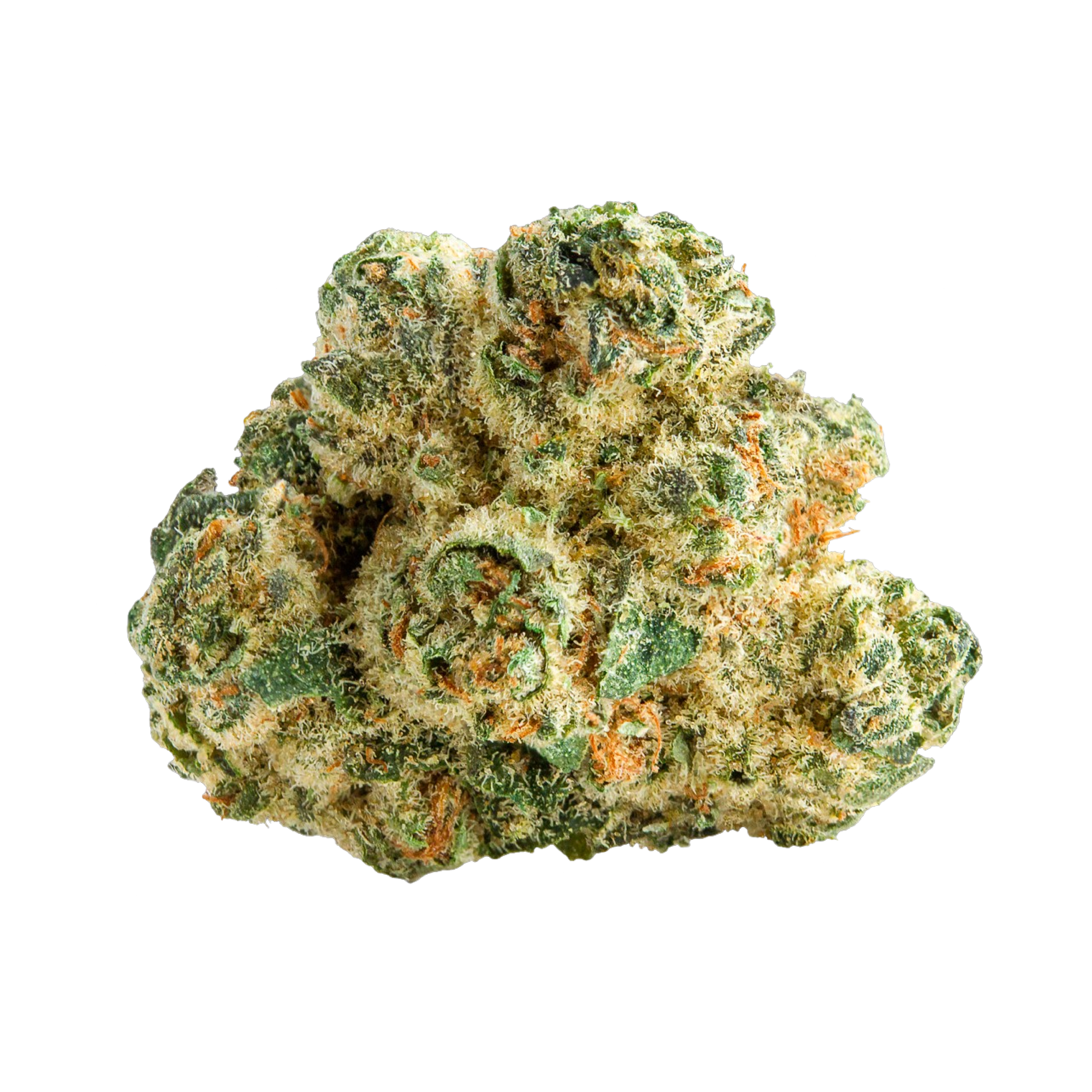 Image of CM 29/1 SPC