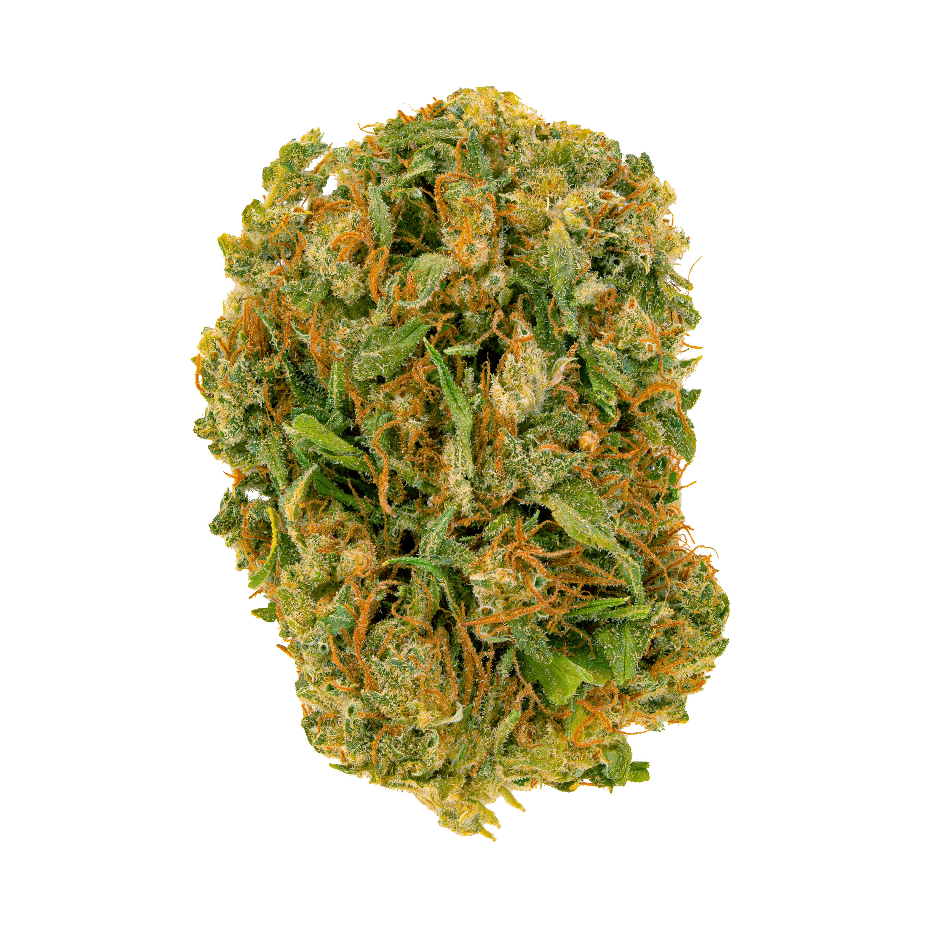 Image of Pedanios 10/10 EQI CA