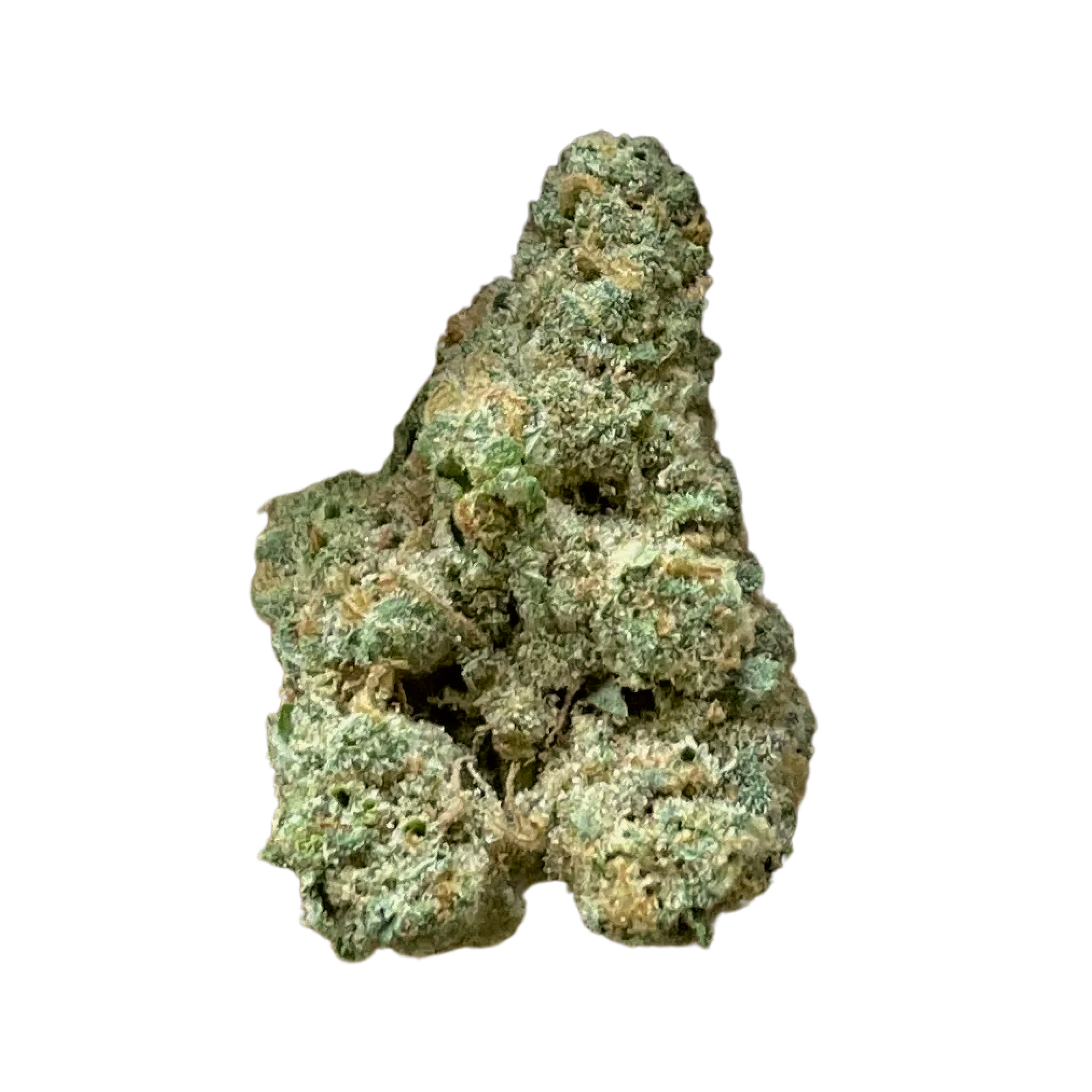 Image of Remexian 30/1 PRT MTP