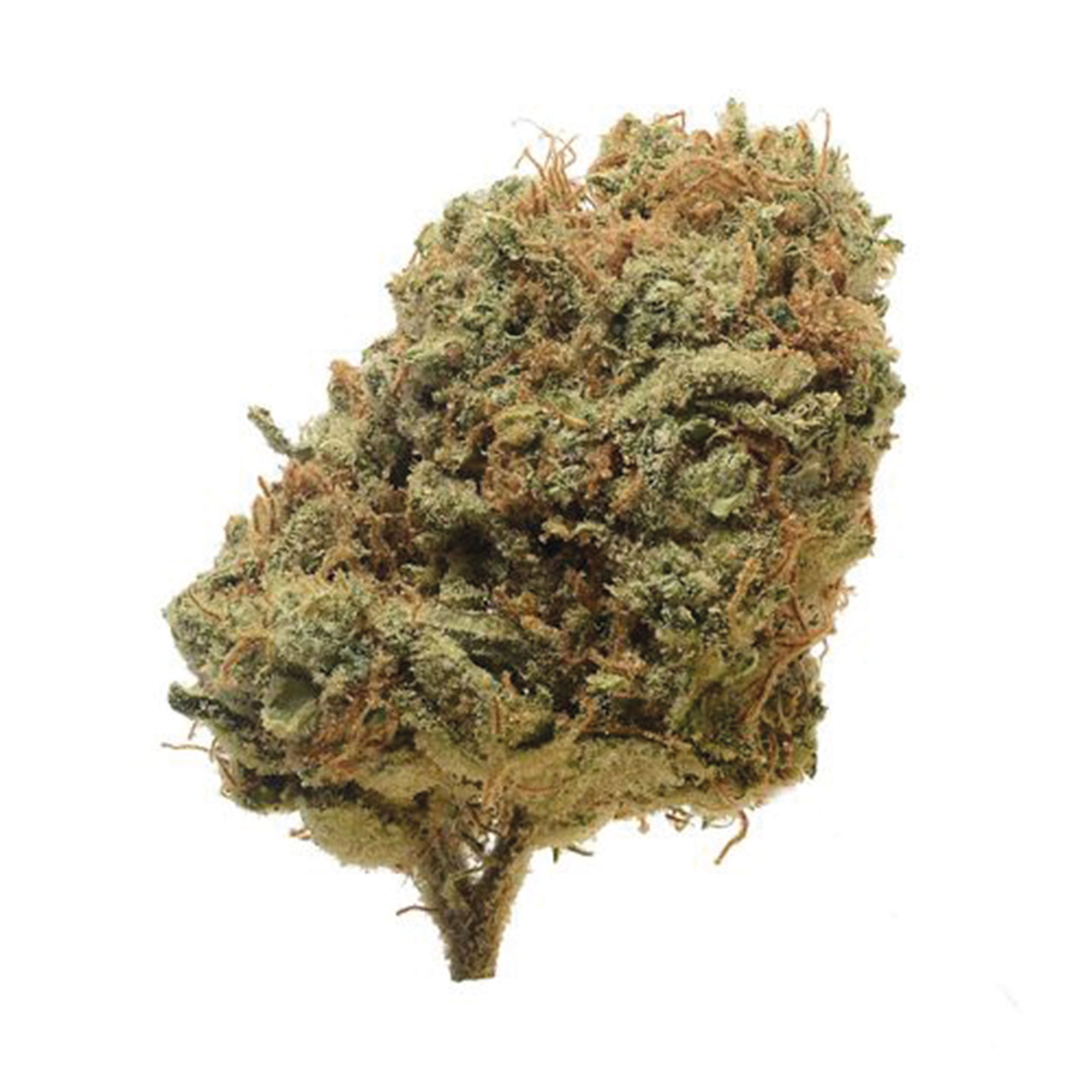Image of Cannamedical Hybrid Classic NM CB