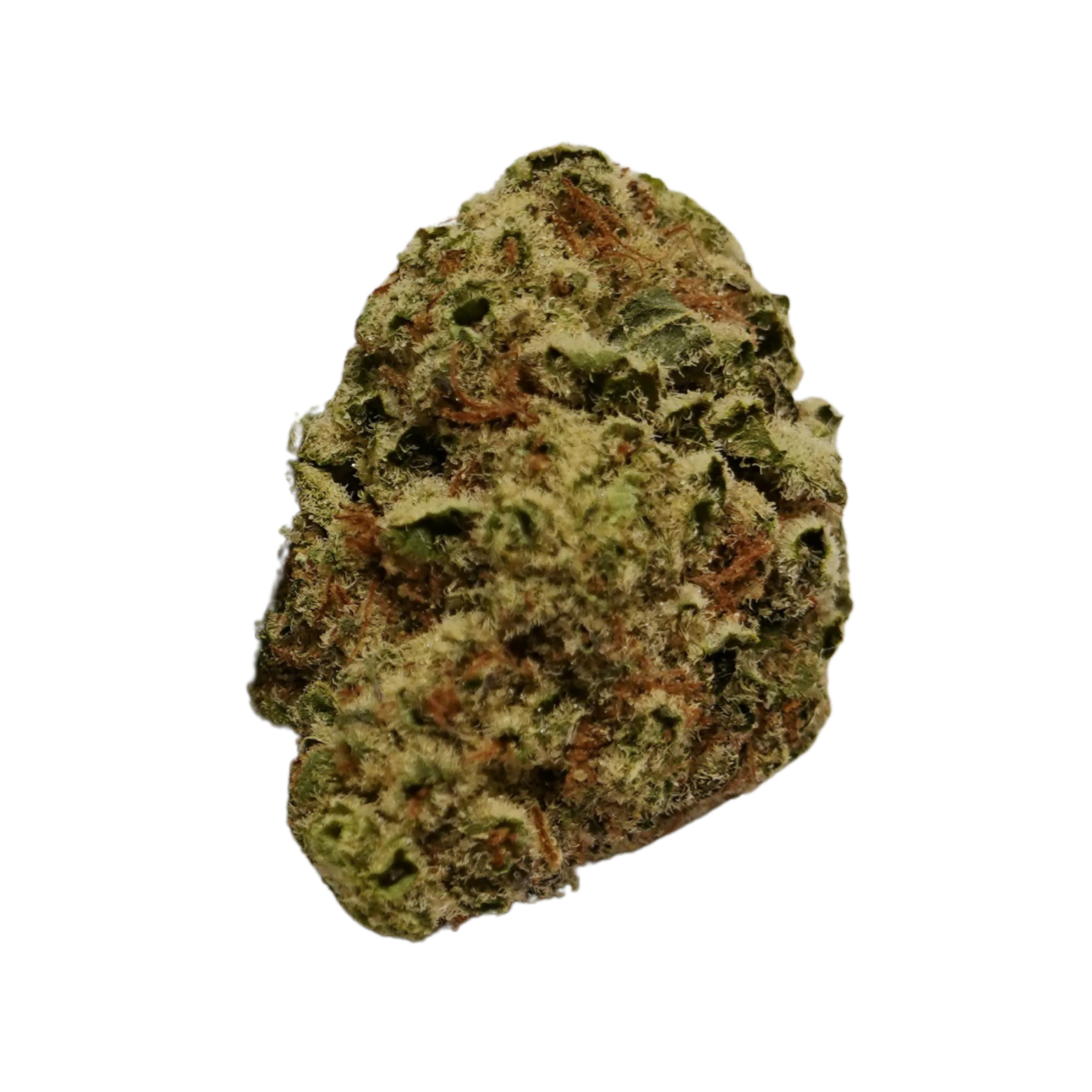 Image of madrecan 21/1 MDR