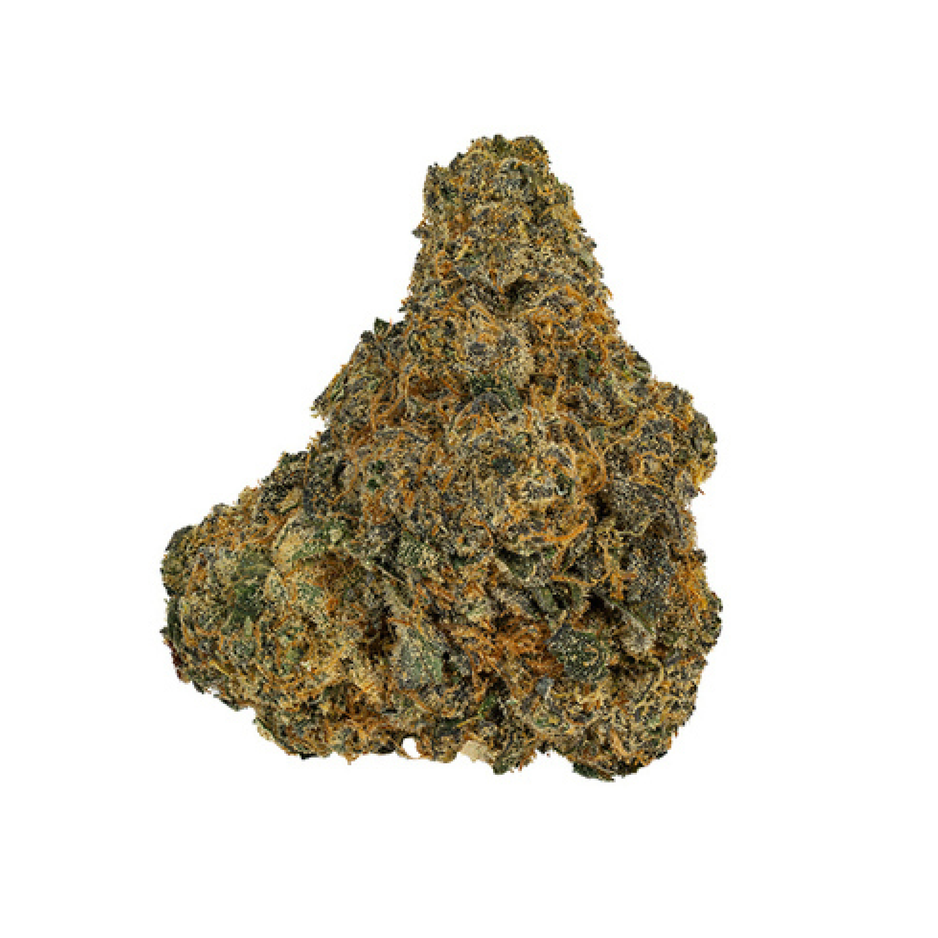 Image of Bathera 28/1 FC