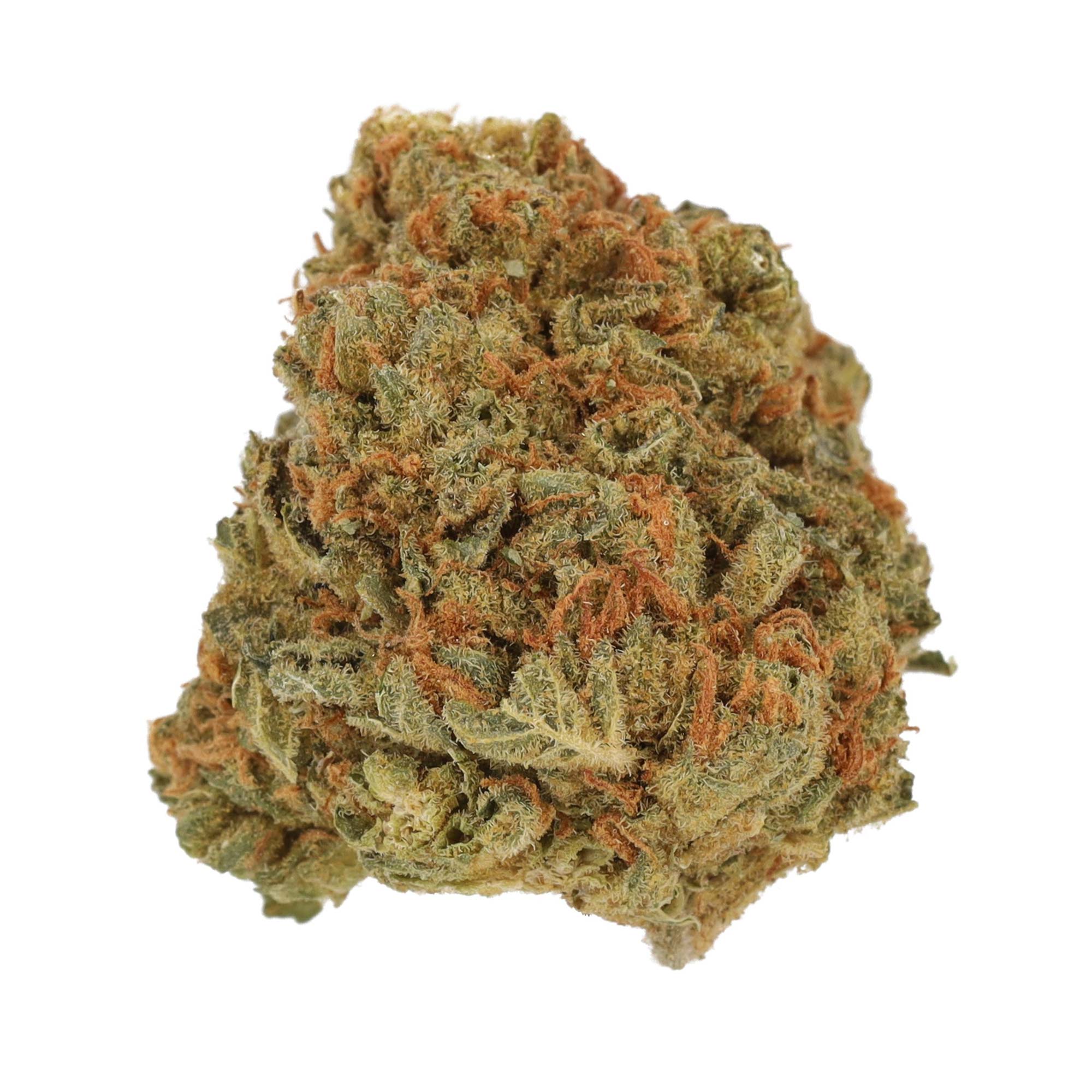 Image of Cannamedical CM 20/1 GRP