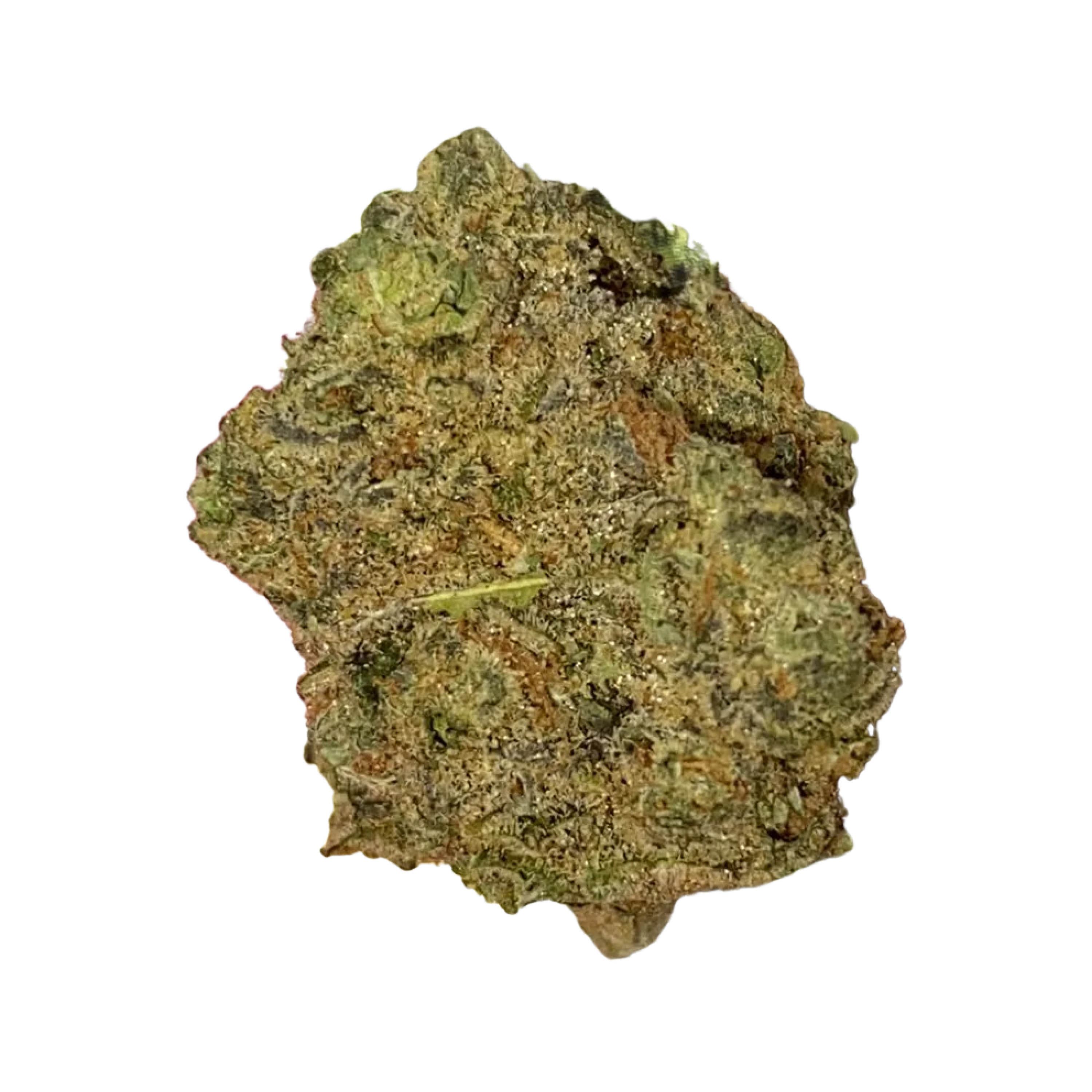 Image of enua 22/1 ABG CA