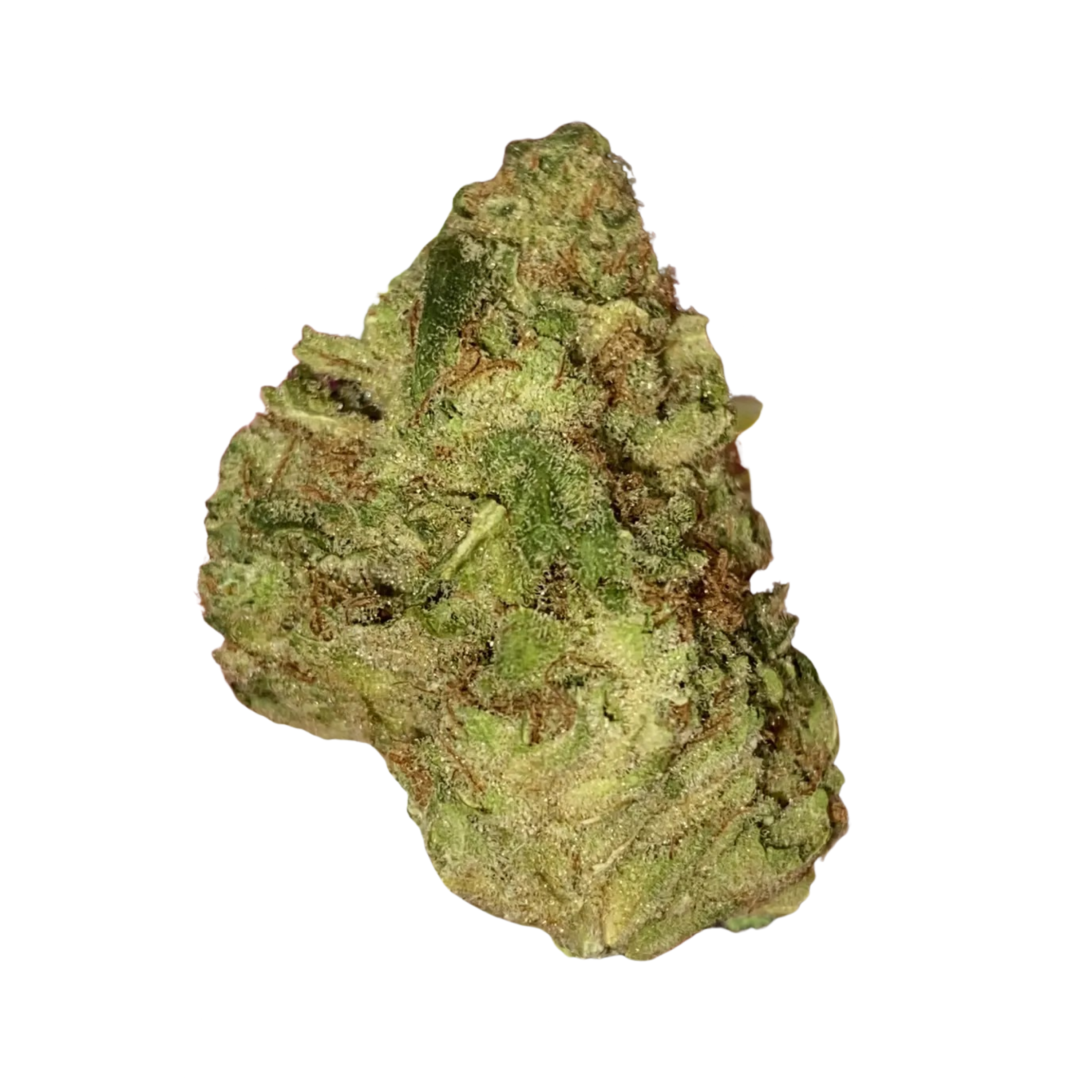 Image of madrecan 24/1 HFG