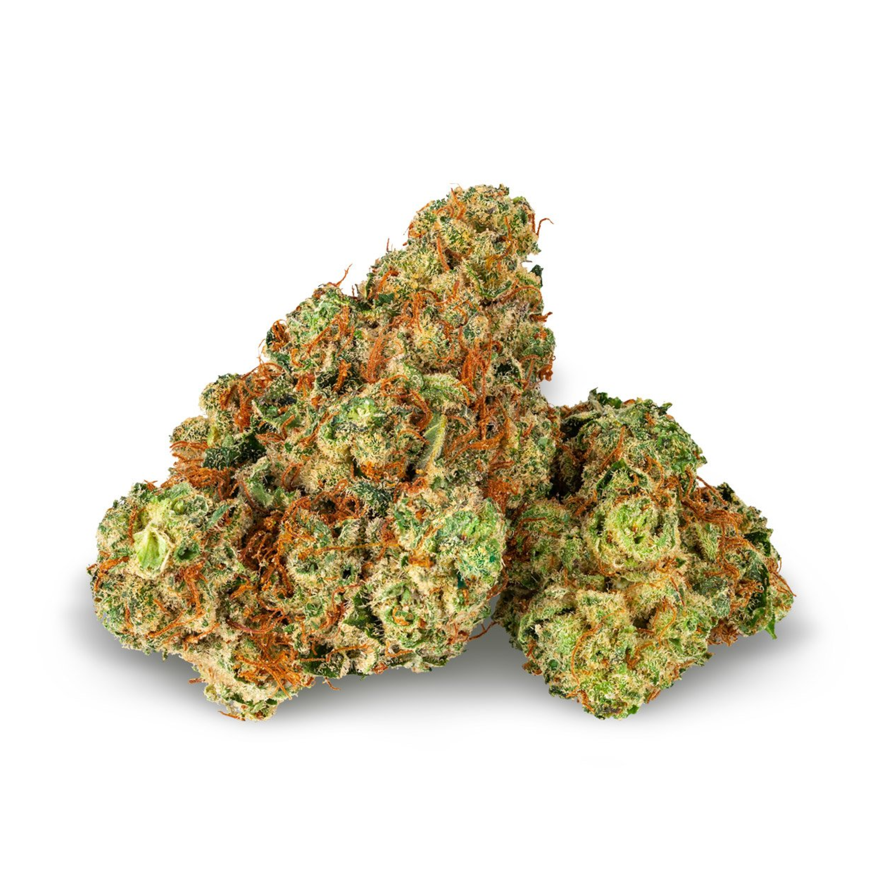 Image of Pedanios 24/1 LAC CA