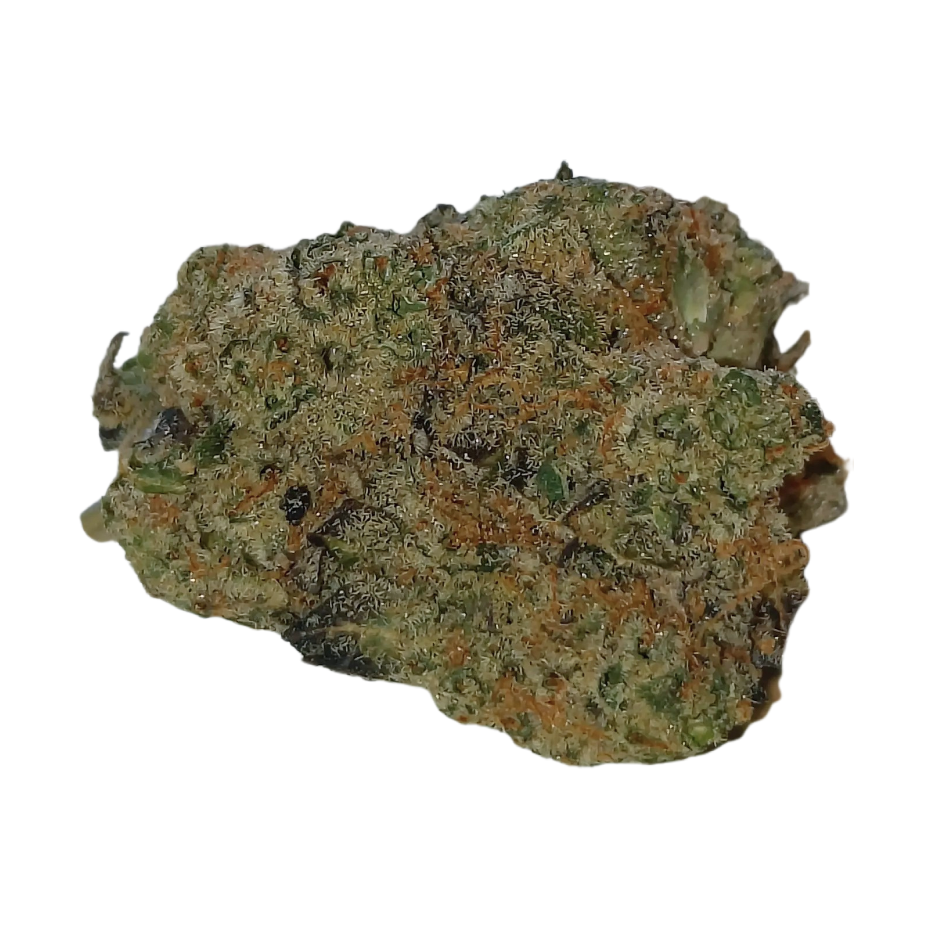 Image of Mother 26 GF CAN