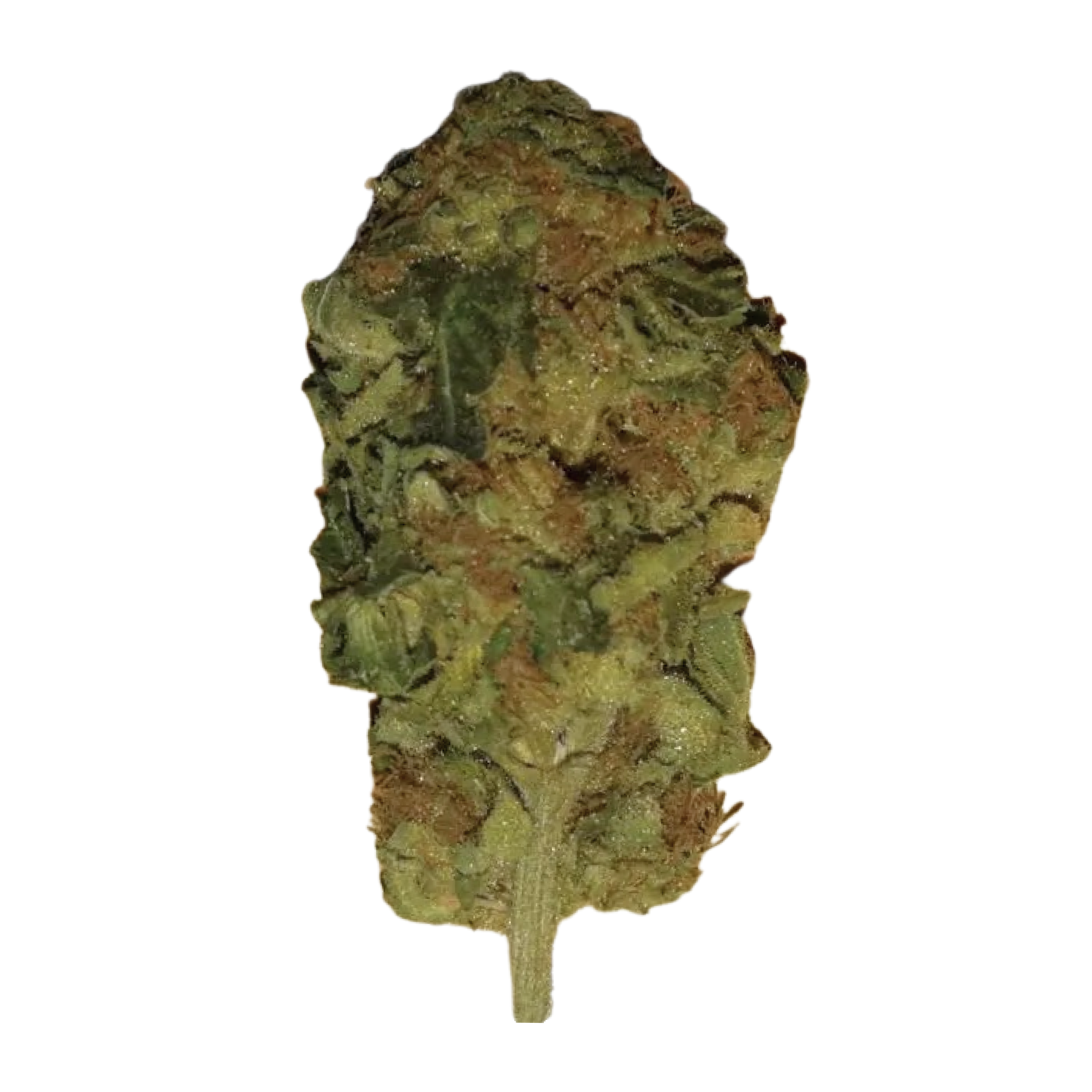 Image of TILRAY THC 18 Spotlight Porto WW