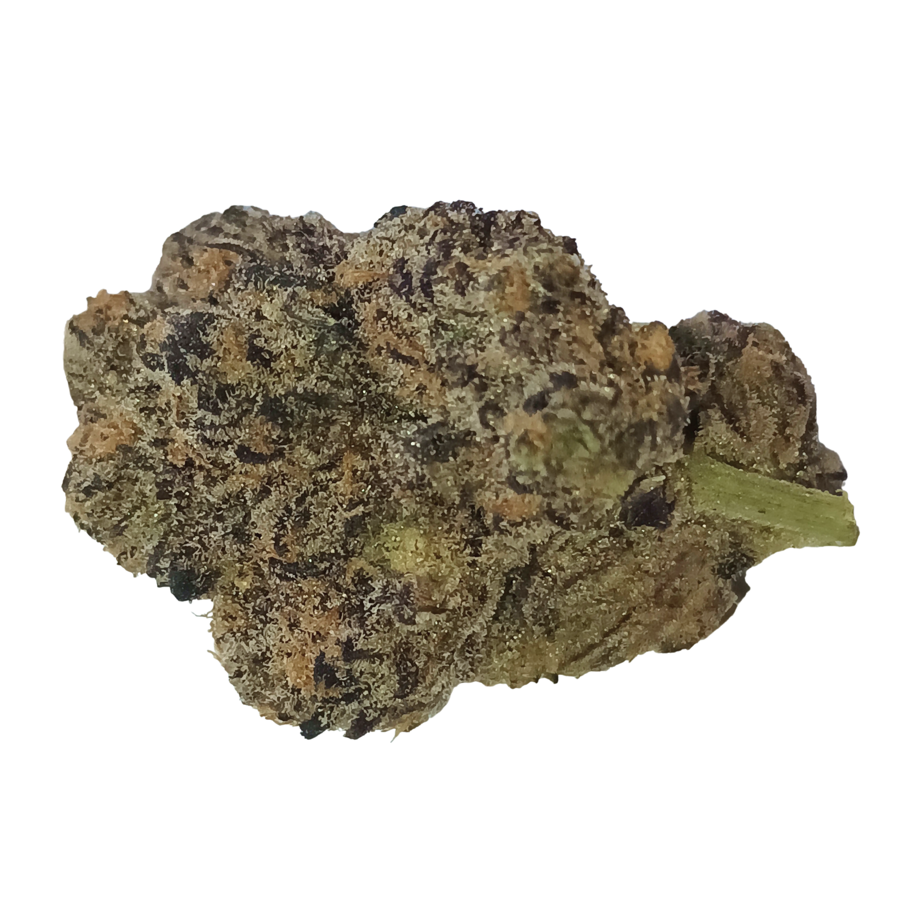 Image of BLKMKT RBP 27