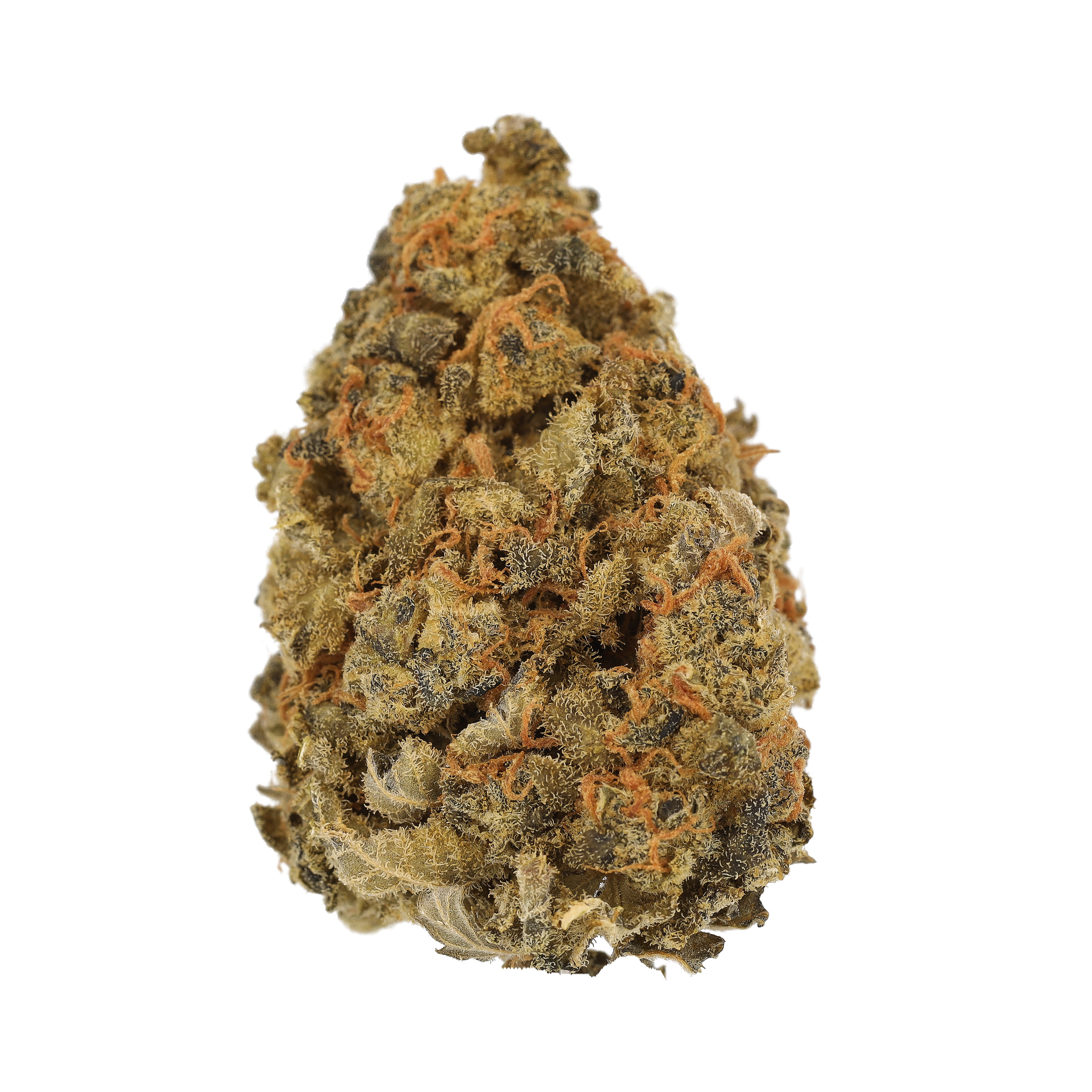 Image of Cannamedical Hybrid Forte NM GZ