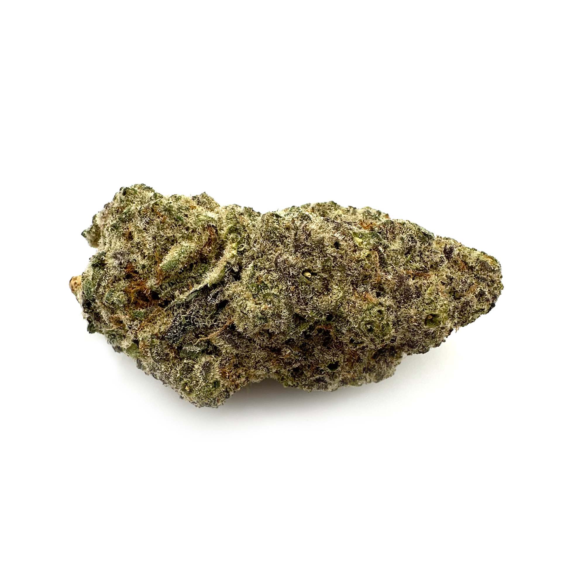 Image of Cantourage MAC 1+