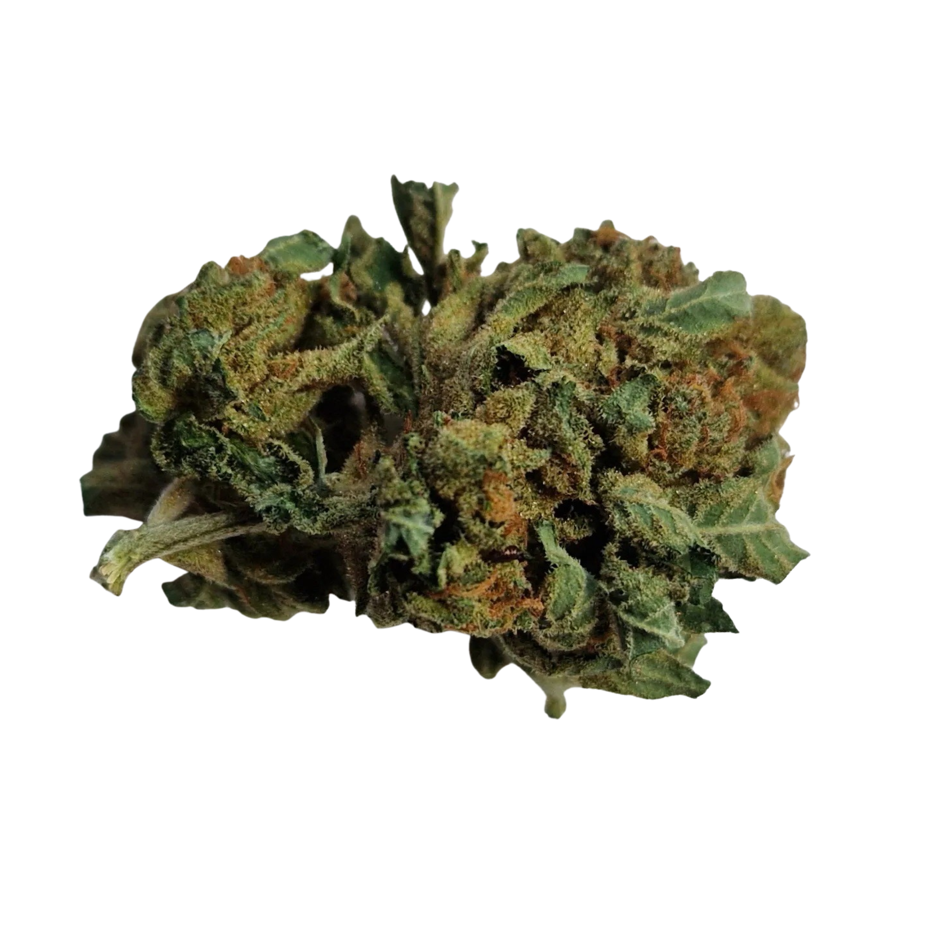 Image of AMP classic 25/1