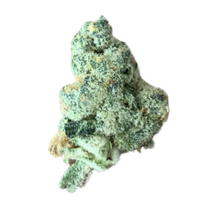 Image of 420 Evolution 27/1 CA GMO