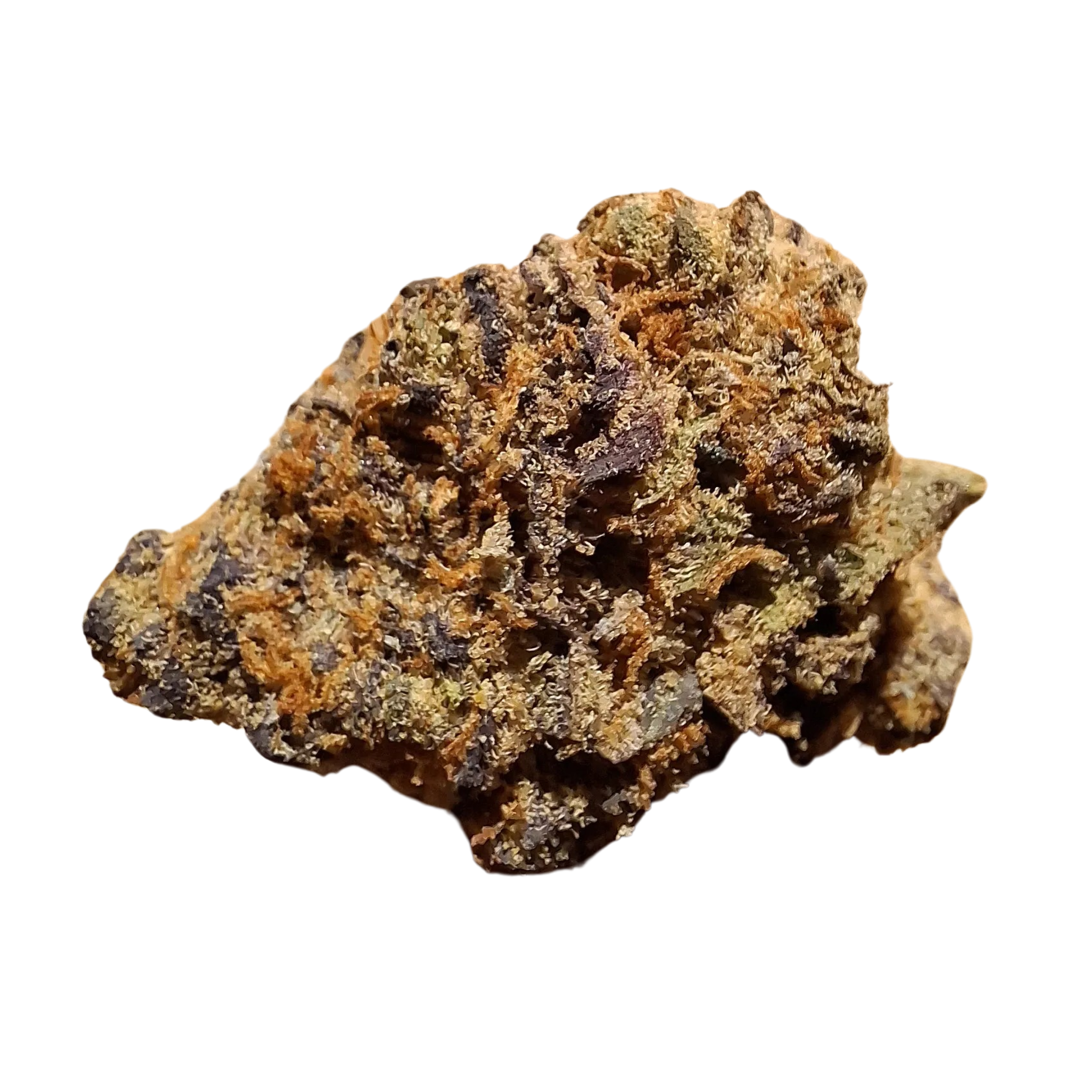 Image of CNBS Gelo 22/1