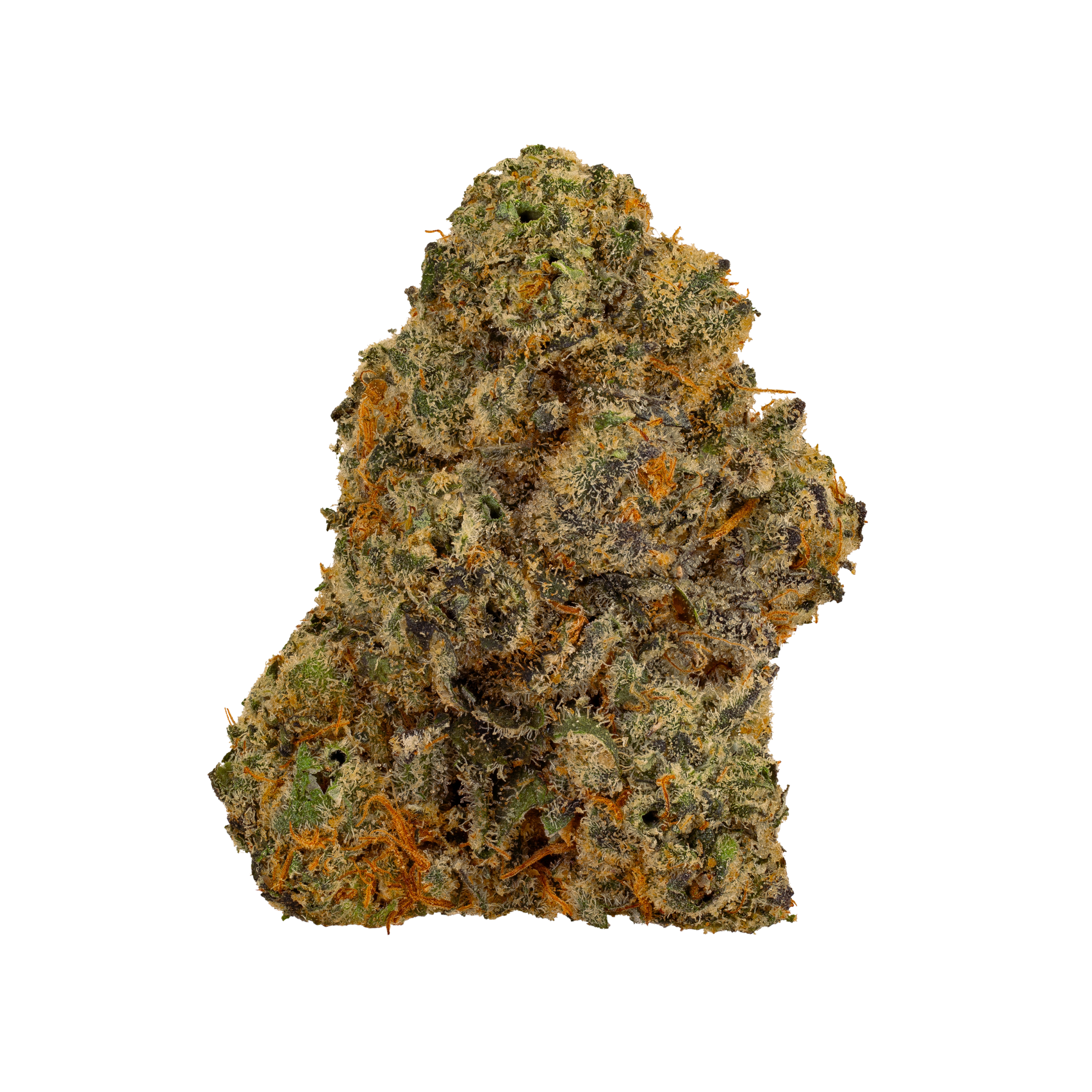 Image of Bathera 23/1 PM