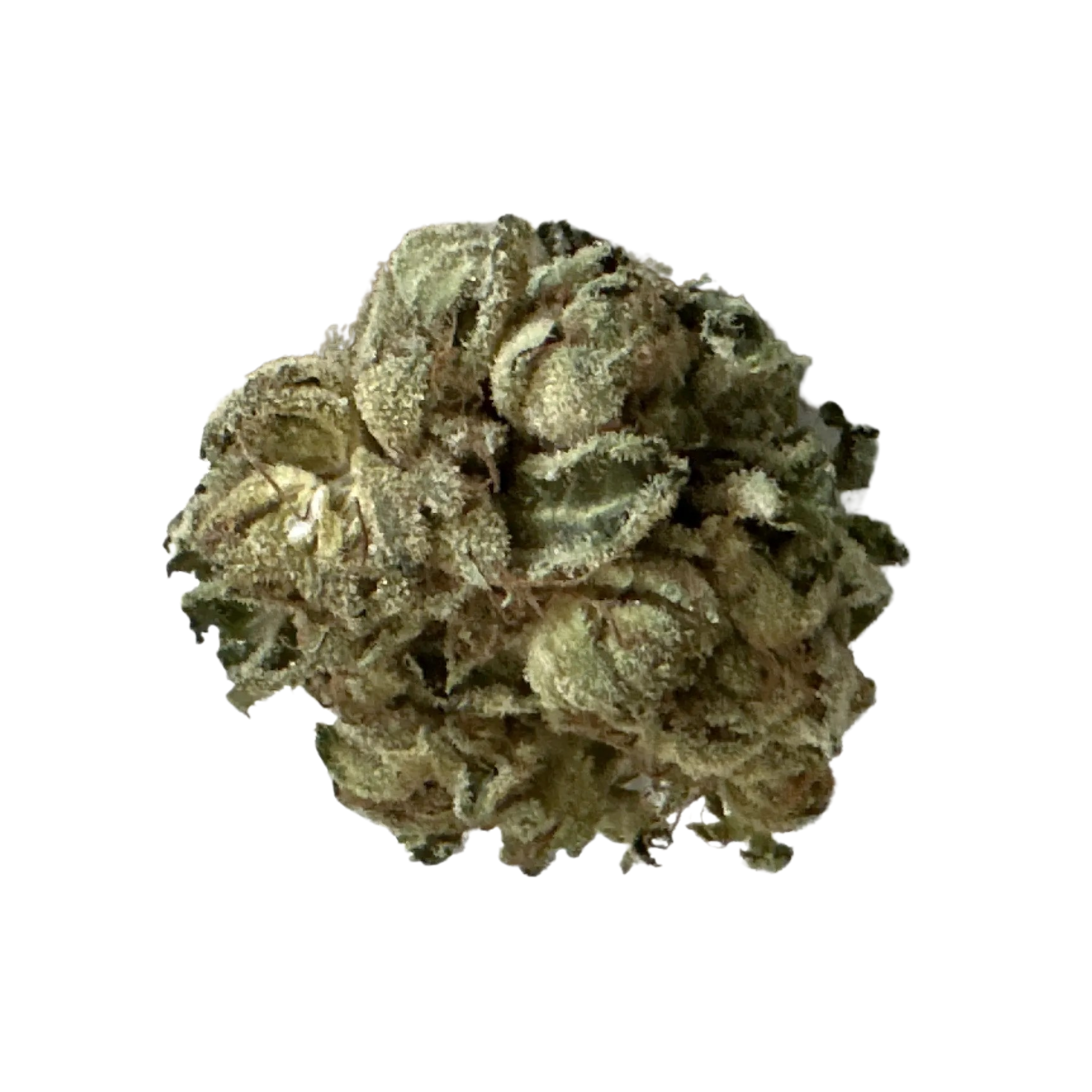 Image of Tilray THC 18 Spotlight Porto MK