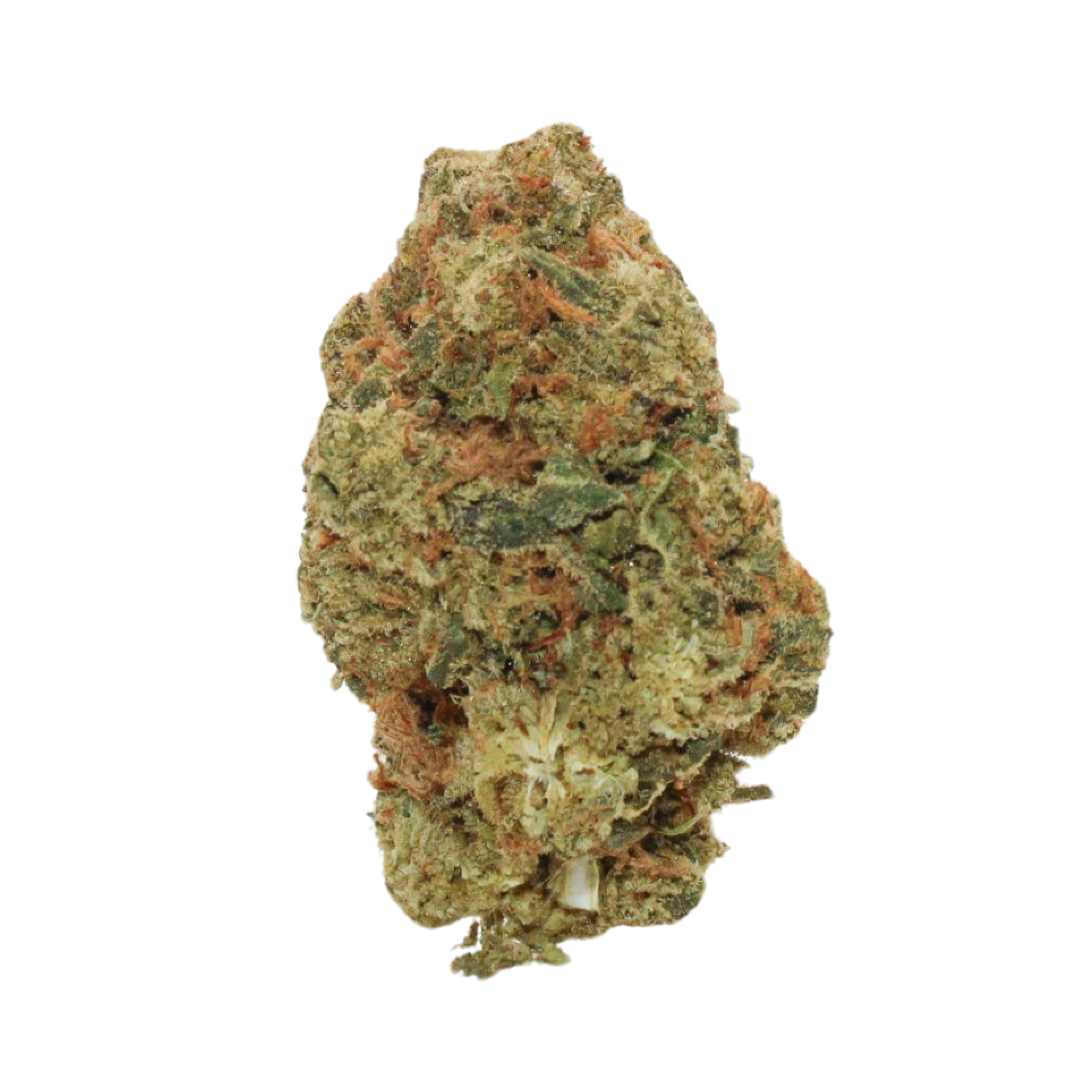 Image of Sumo Canada Craft No. 4