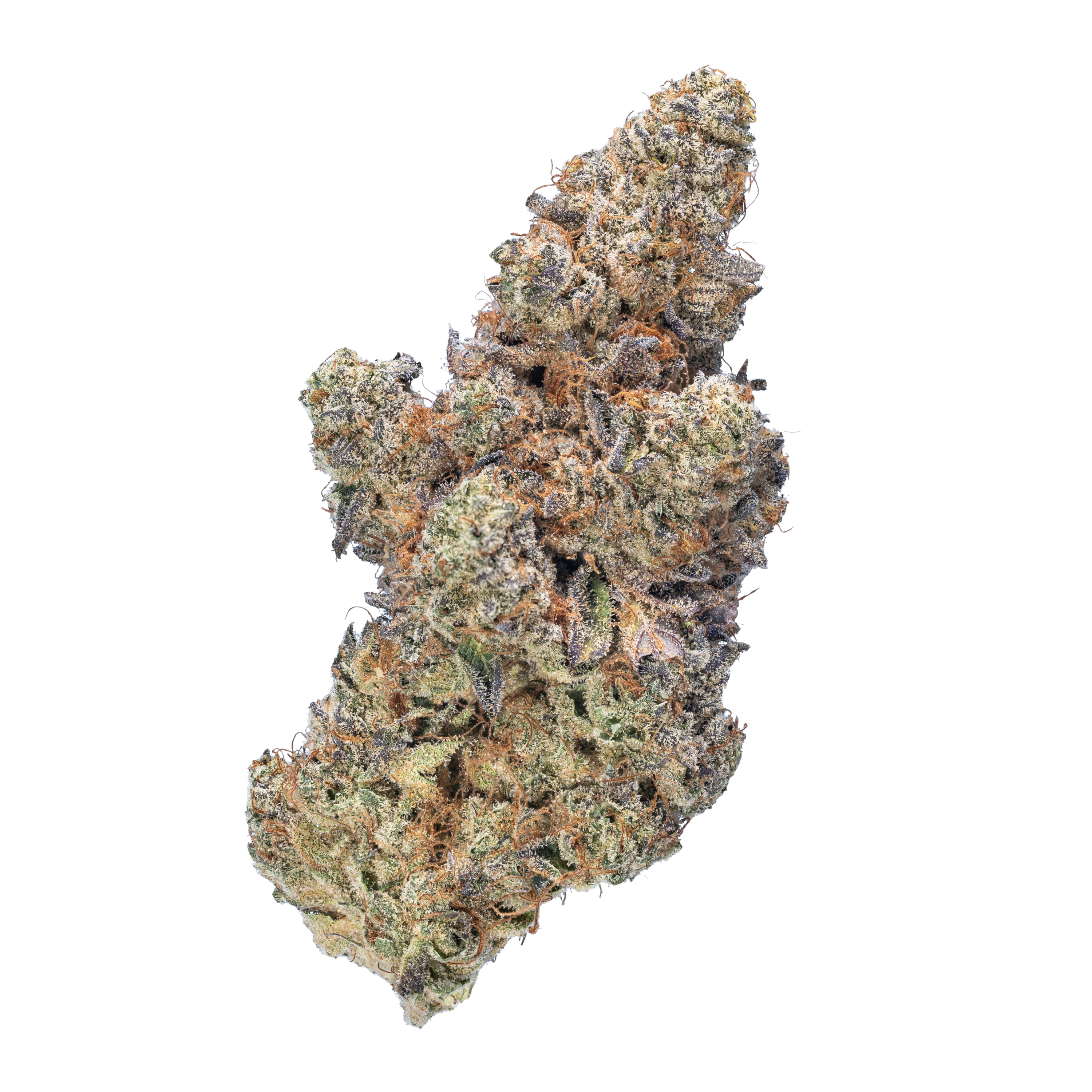 Image of enua 22/1 BDO CA