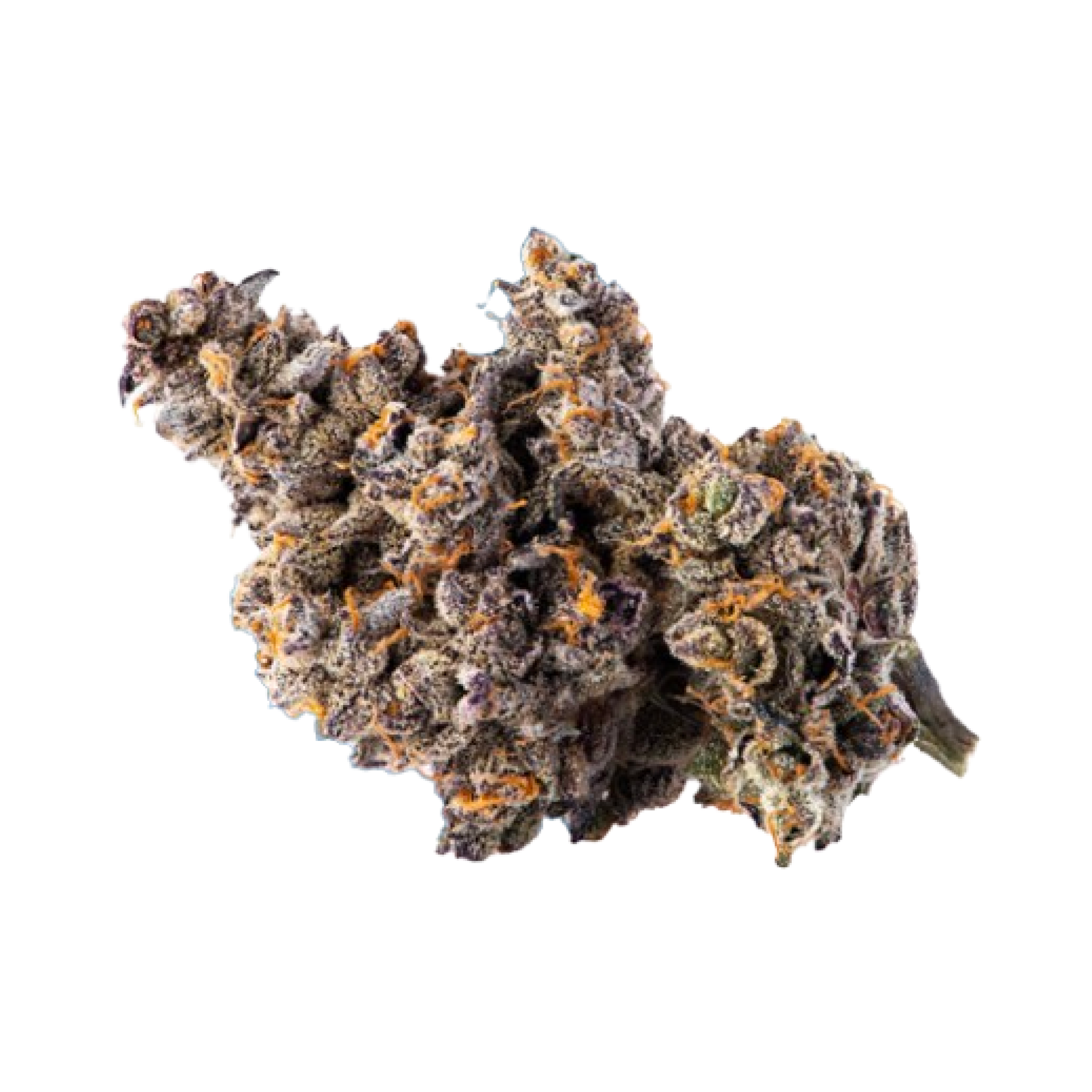 Image of Cookies A&B 22/1