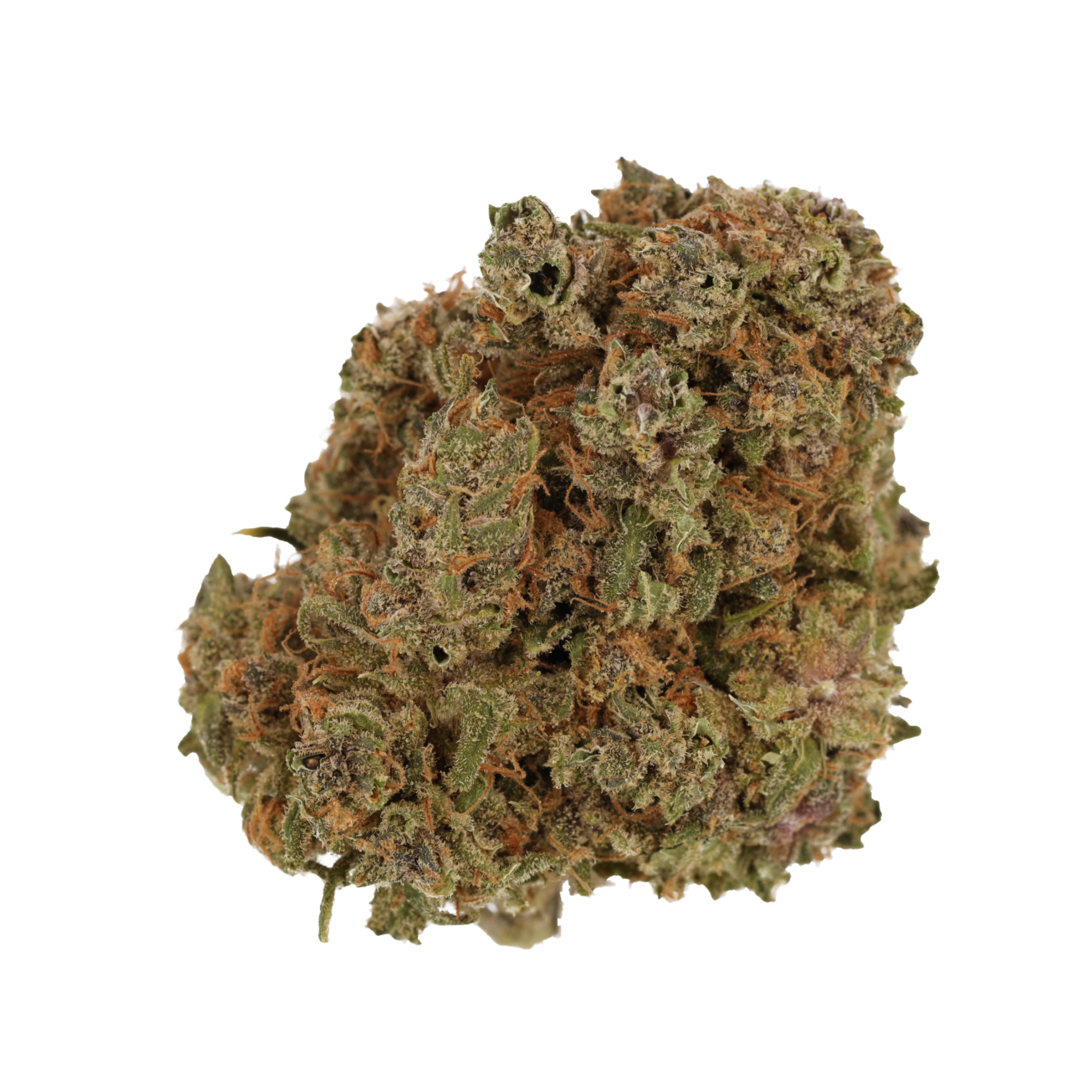 Image of Cannamedical Indica forte DK GS