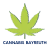 Cannabis Apotheke Bayreuth