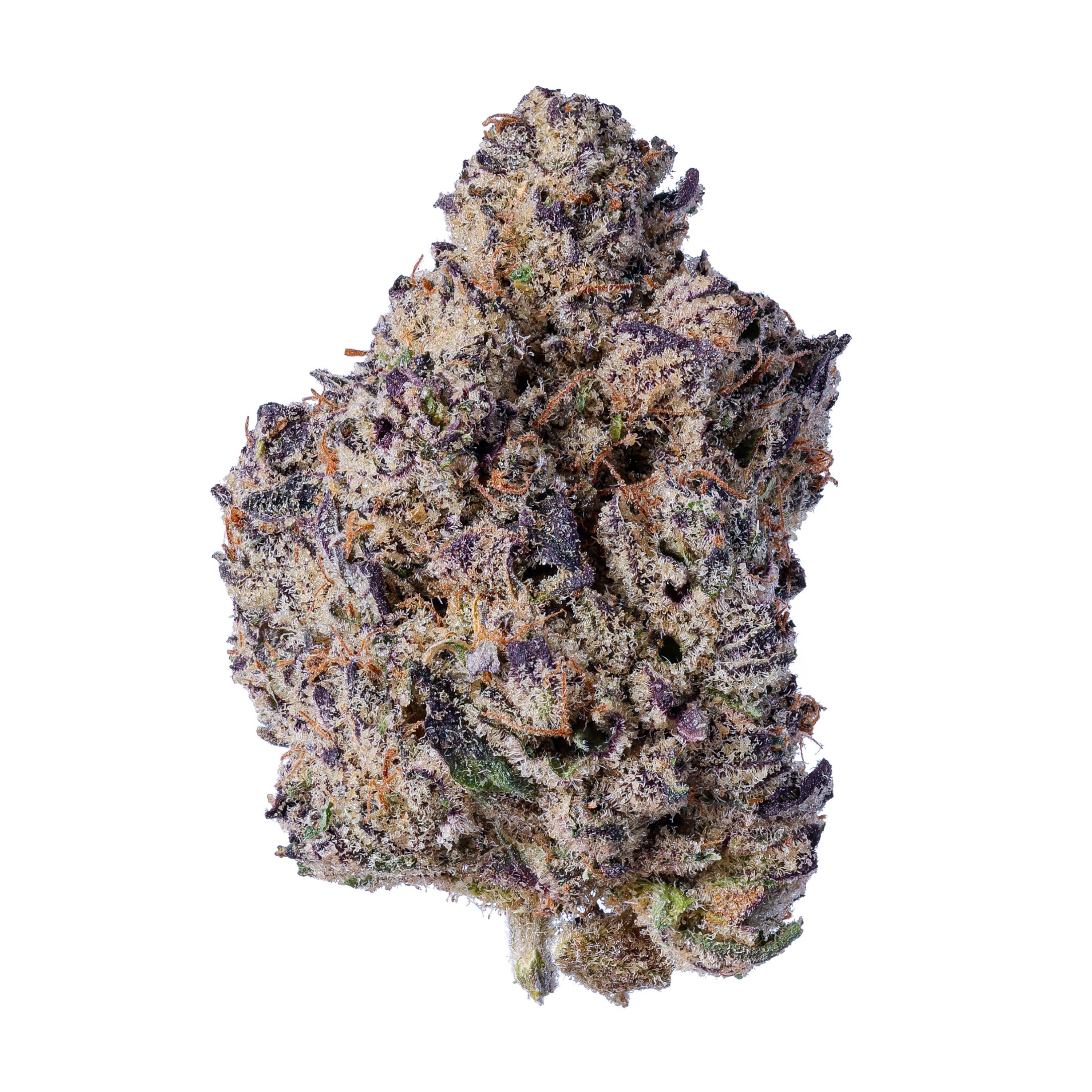 Image of Cookies 22/1 HR