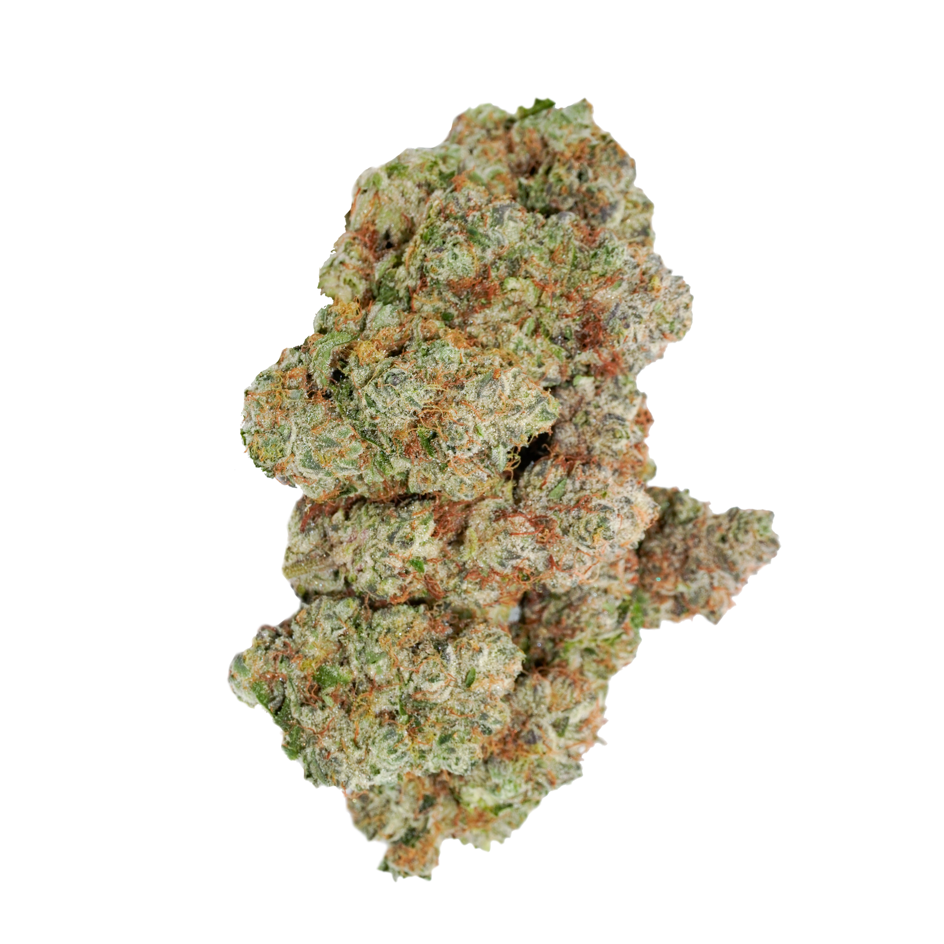 Image of avaay Signature 31/1 OGC