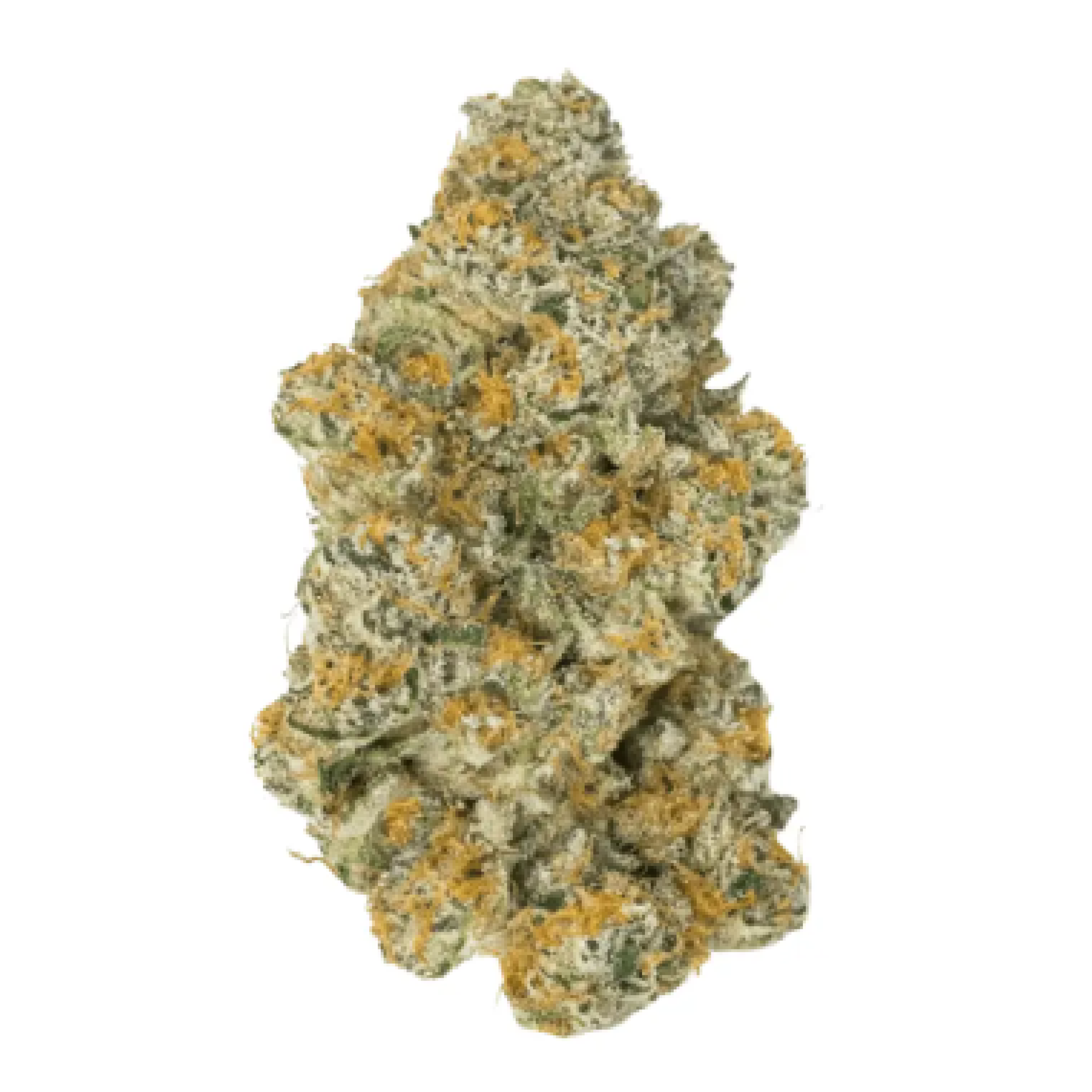 Image of mediproCan Lunaris 23/1