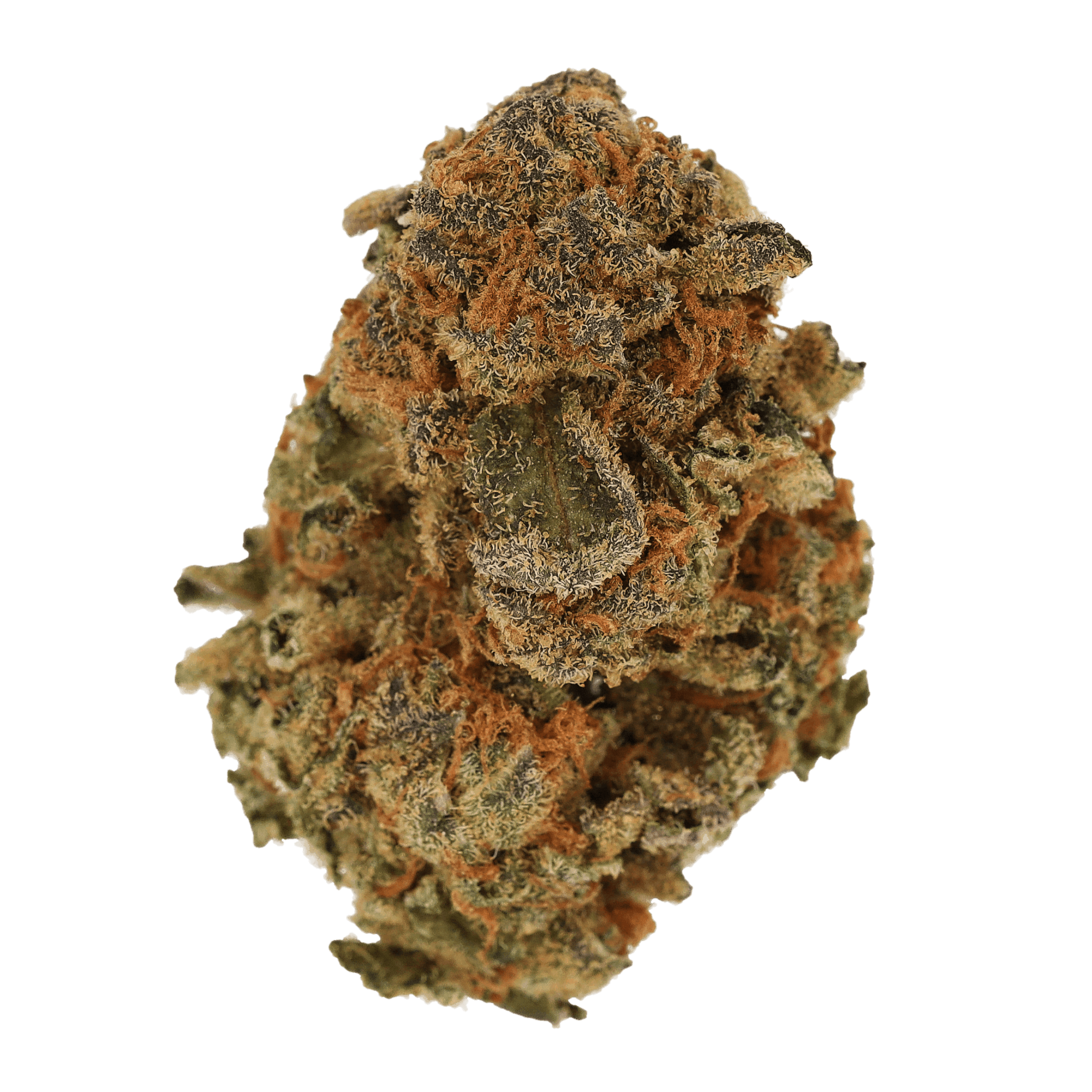 Image of Cannamedical Sativa classic LS