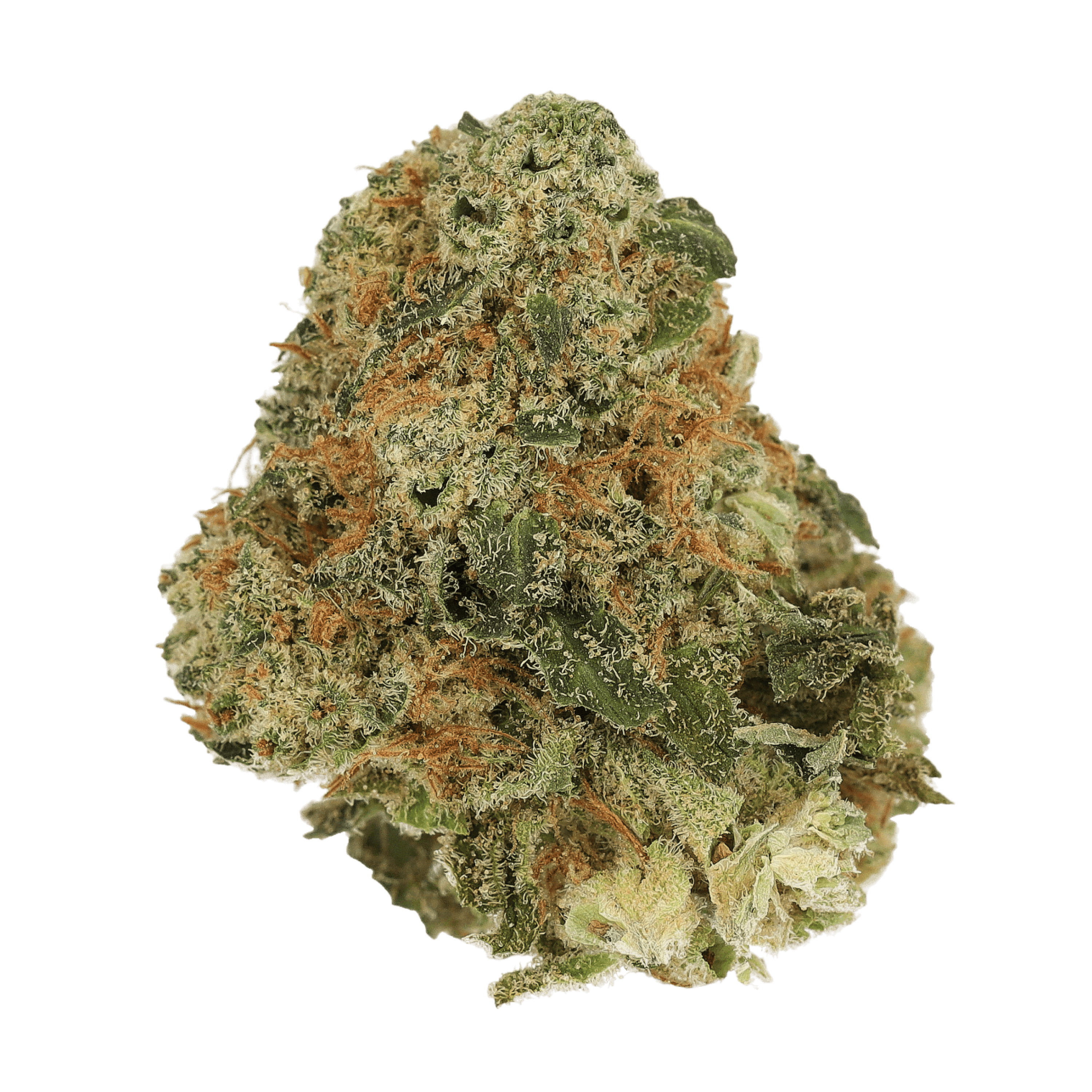 Image of Cannamedical Indica Classic CKP