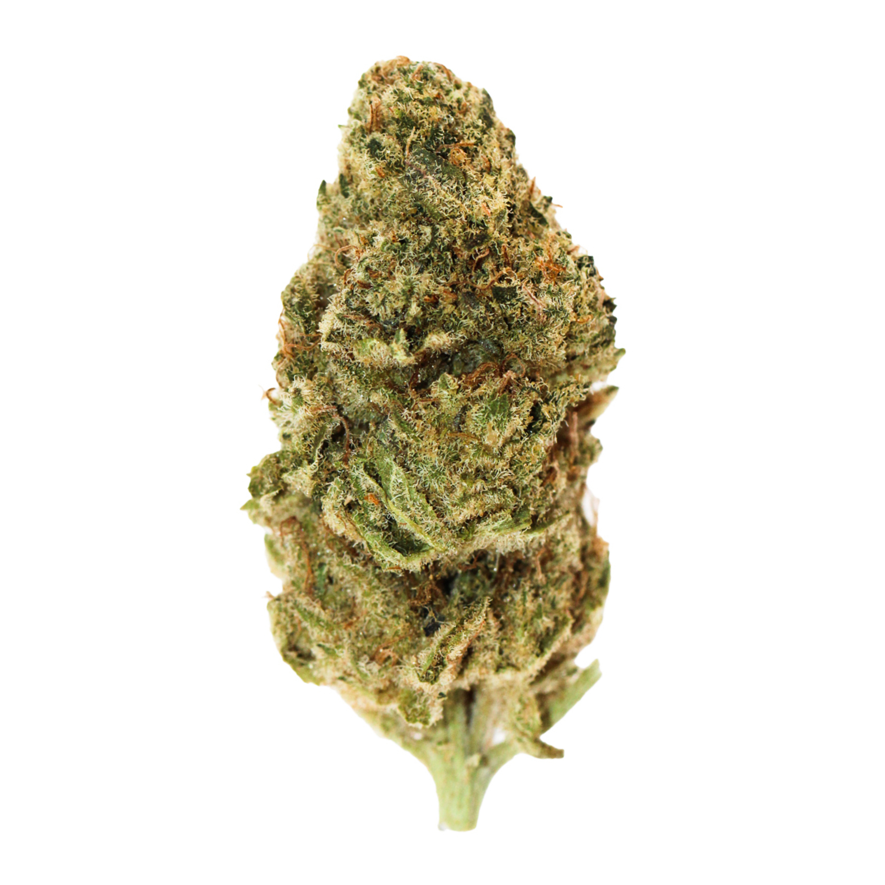 Image of All Nations TT 25/1