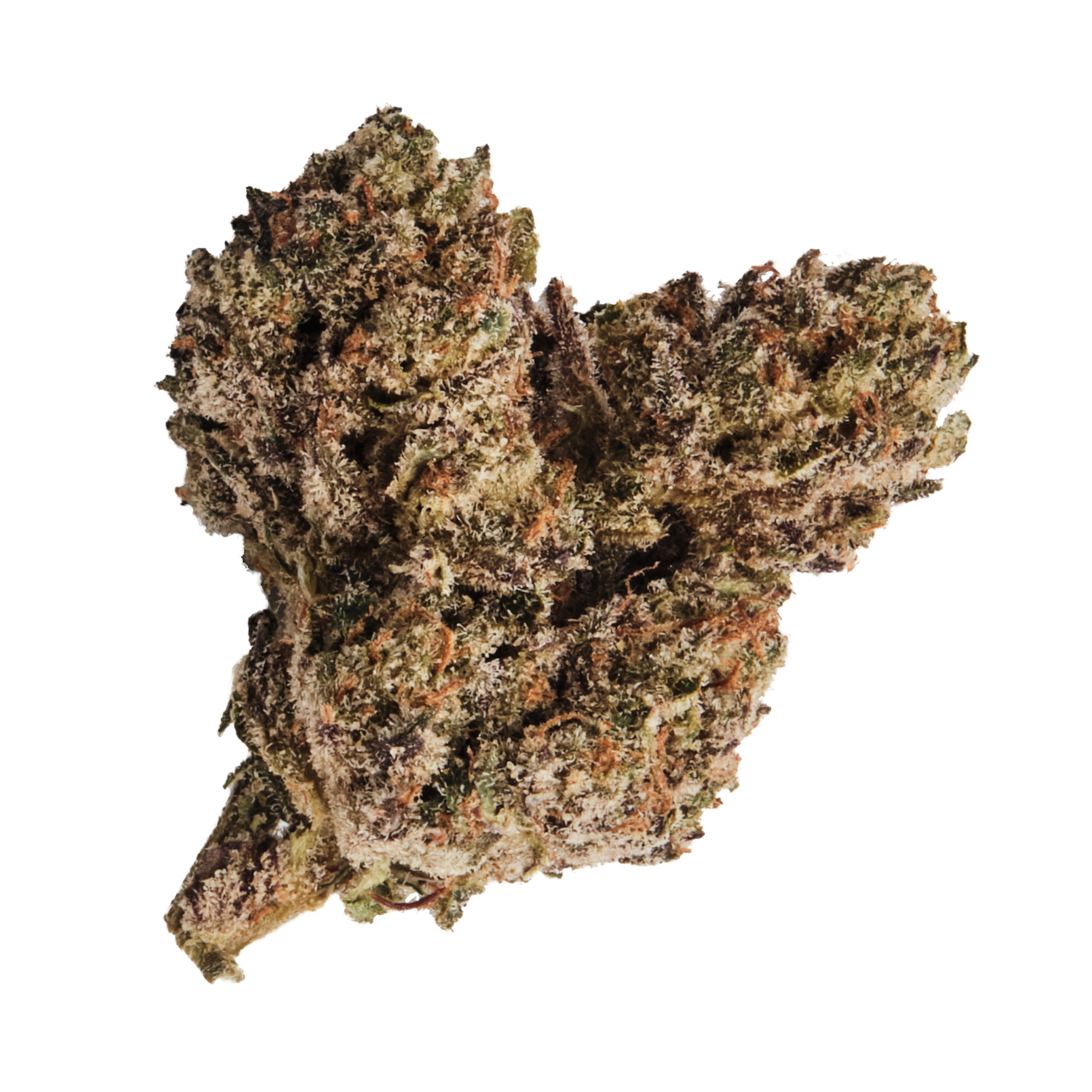 Image of 420 Compound 20/1 PT TGY