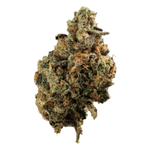 Image of 420 Evolution 27/1 CA FLM