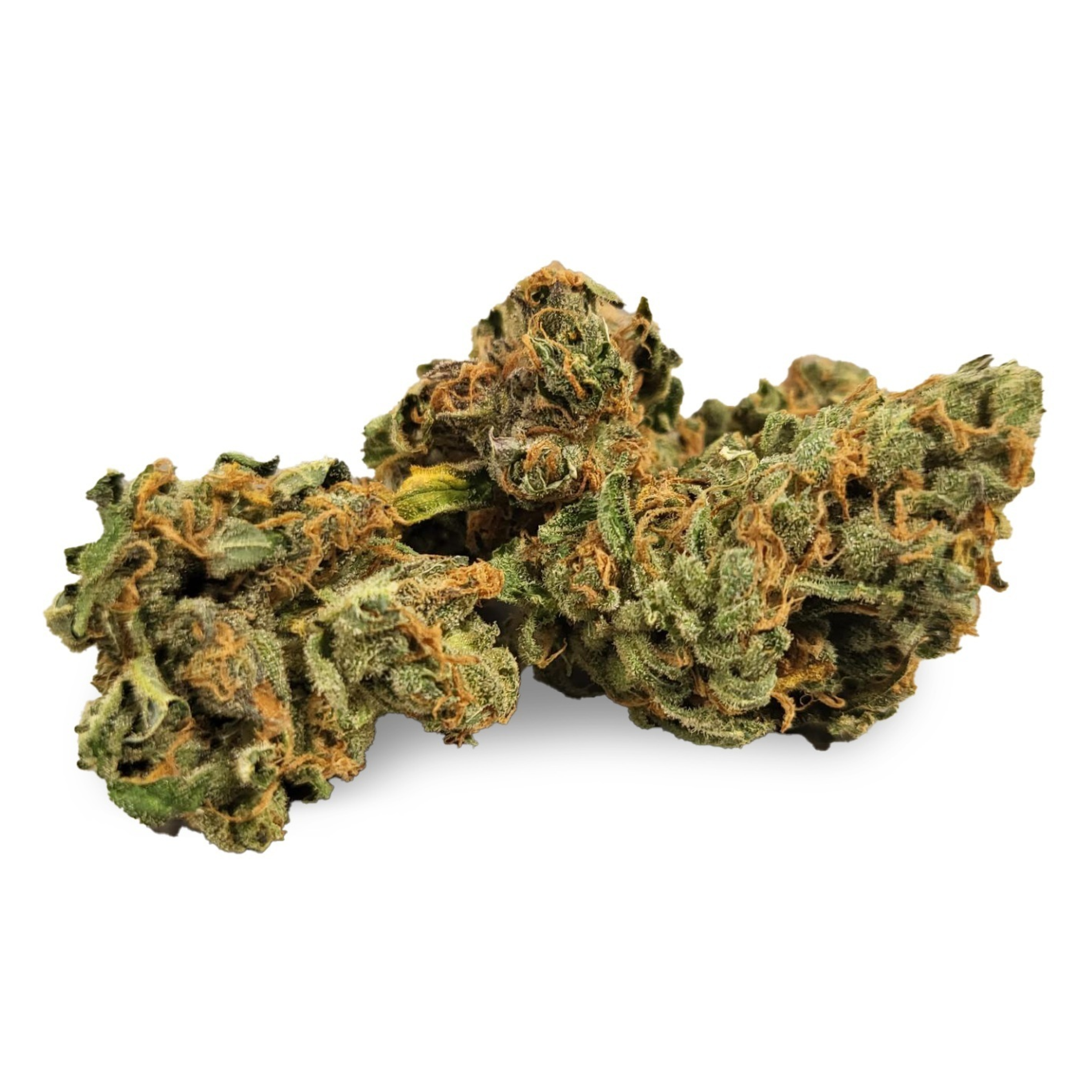 Image of IndiMed 20/1 ISS