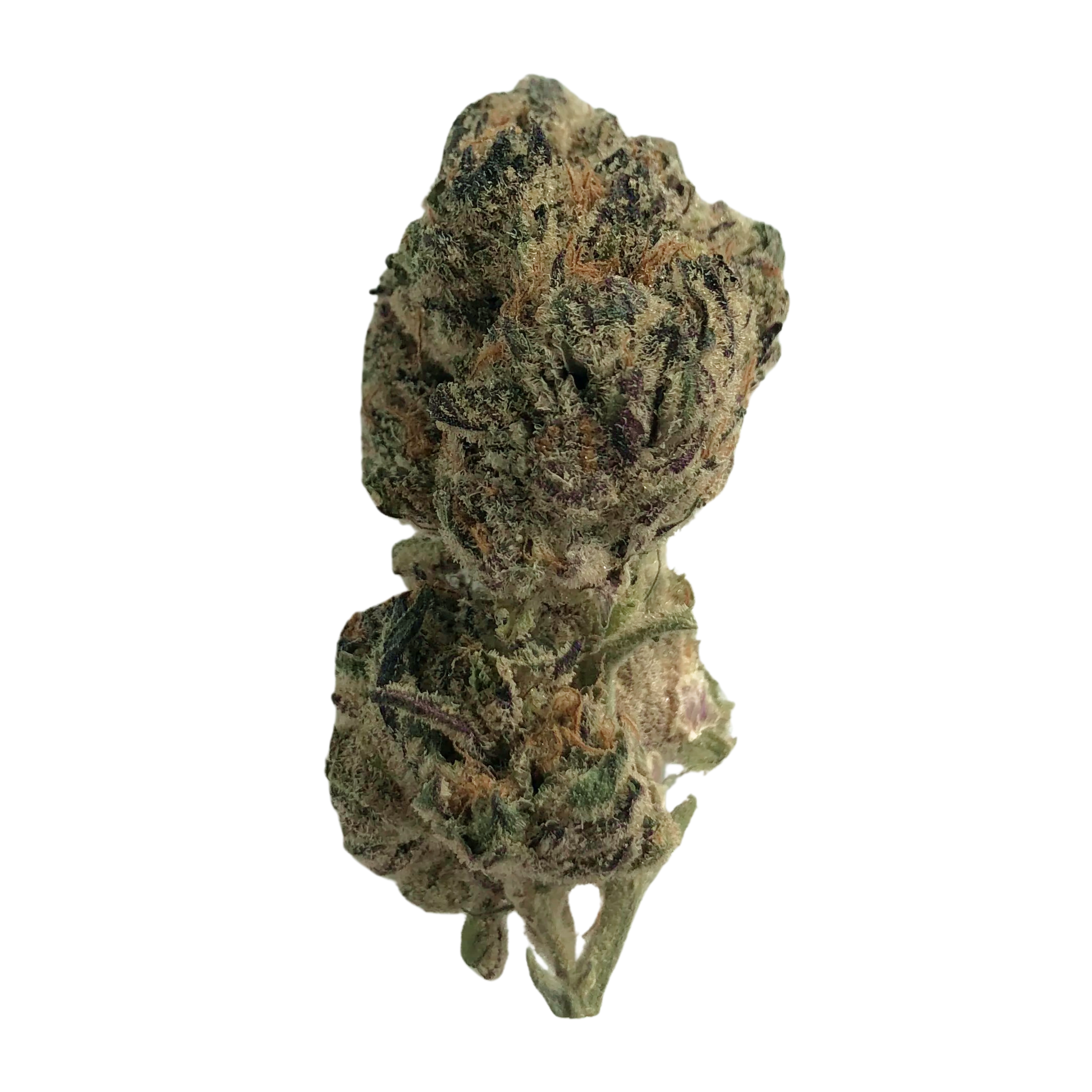 Image of Remexian 27/1 LNL PUO