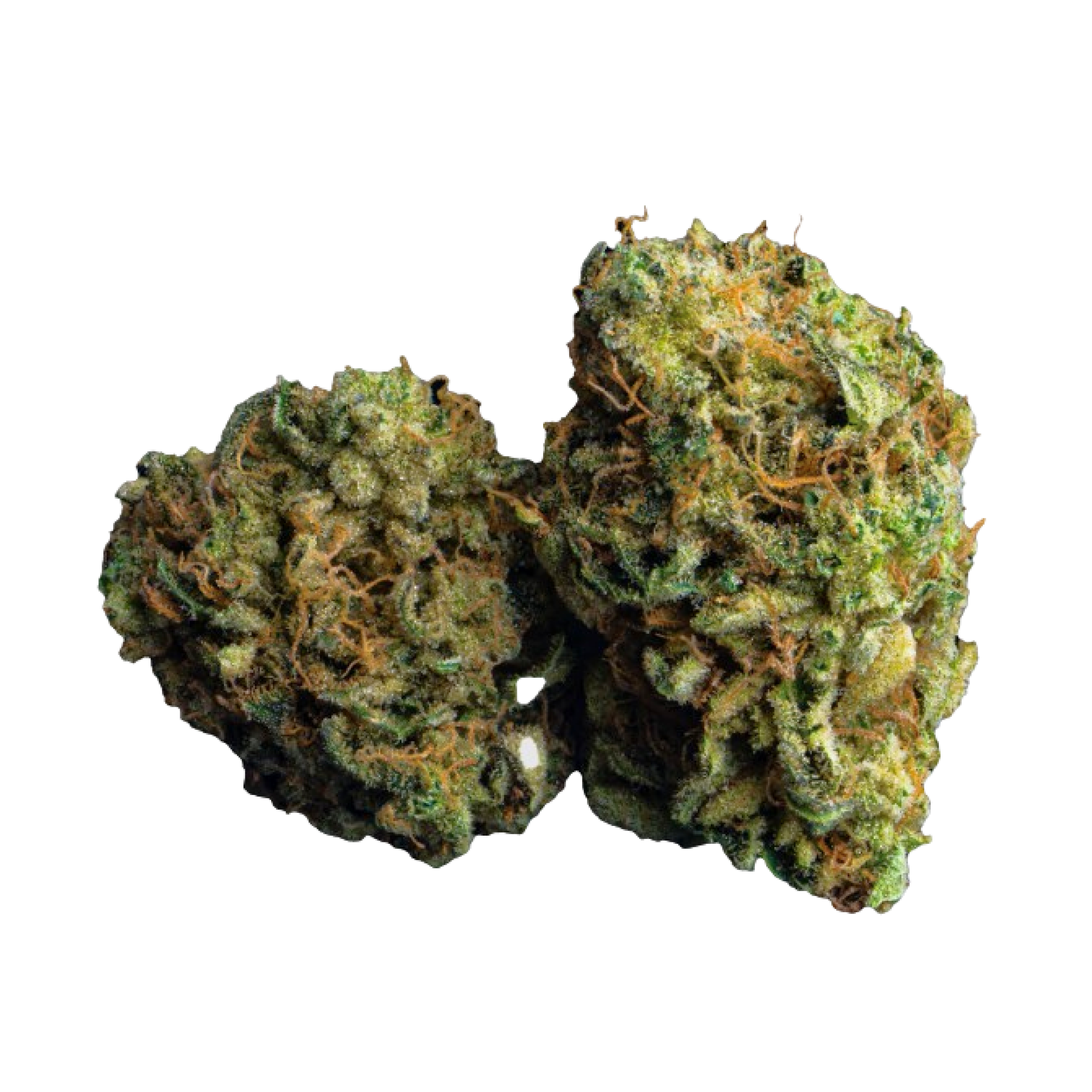 Image of Cookies 26/1 MD