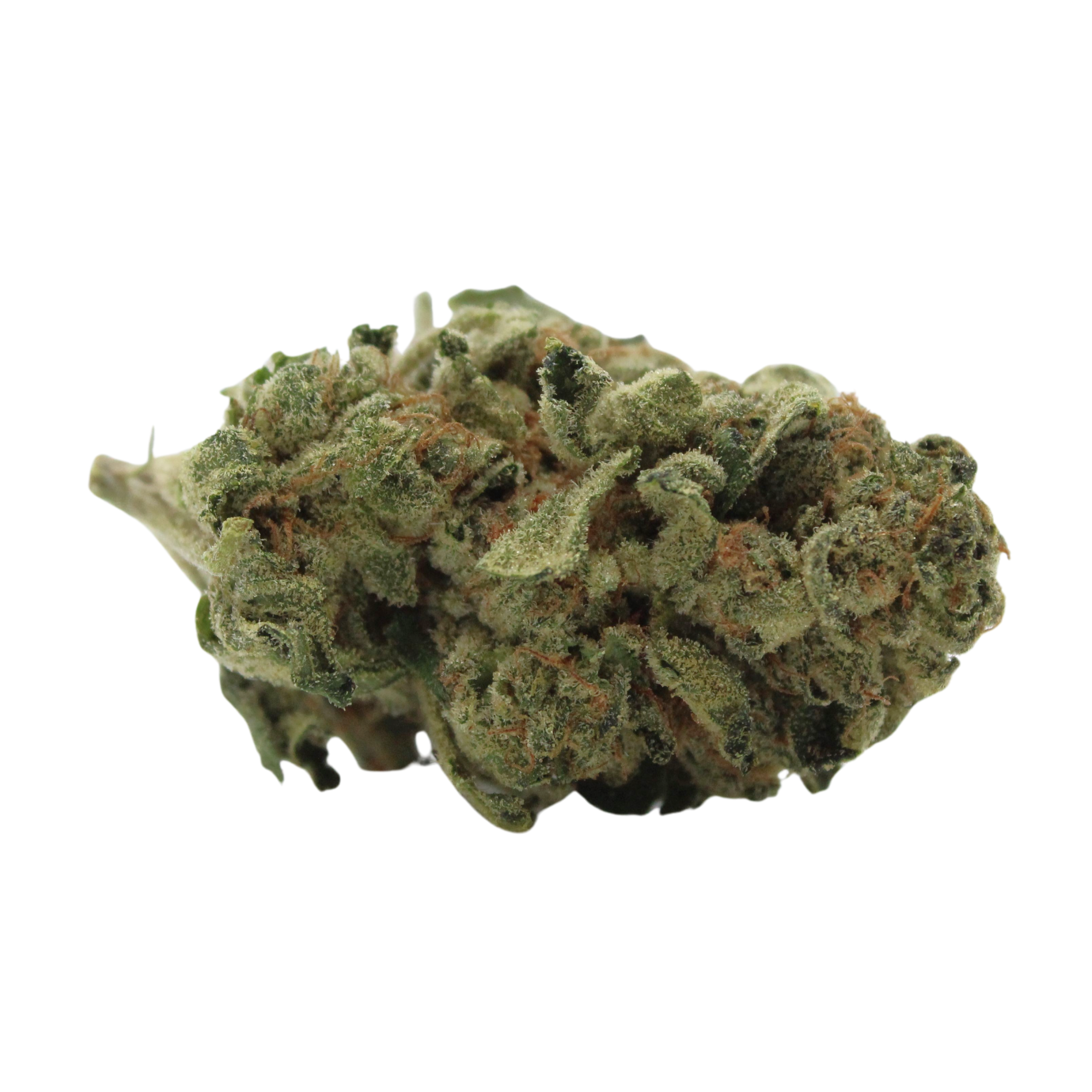 Image of Balancial 22/1 PT Runtz