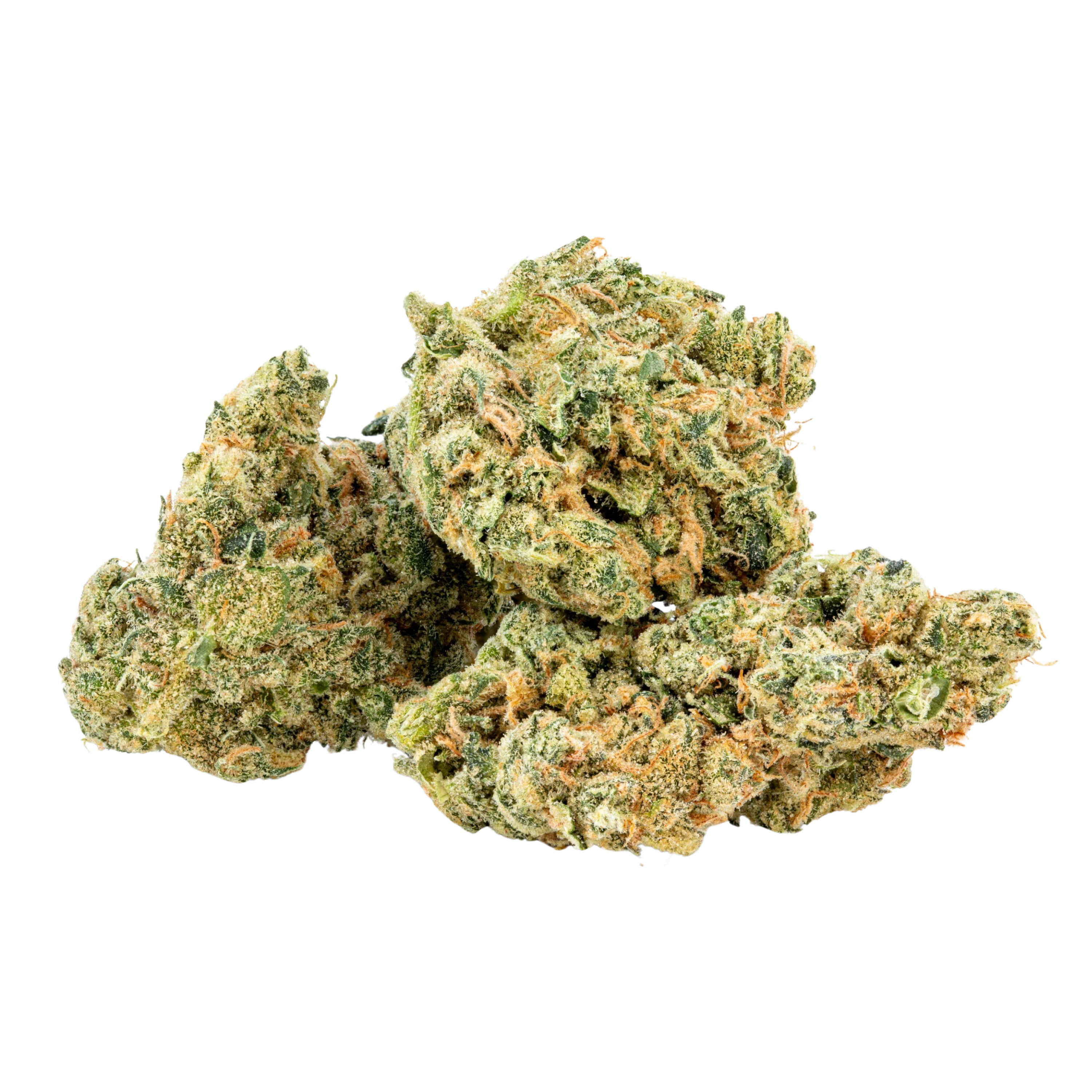 Image of 30/1 Amici UL